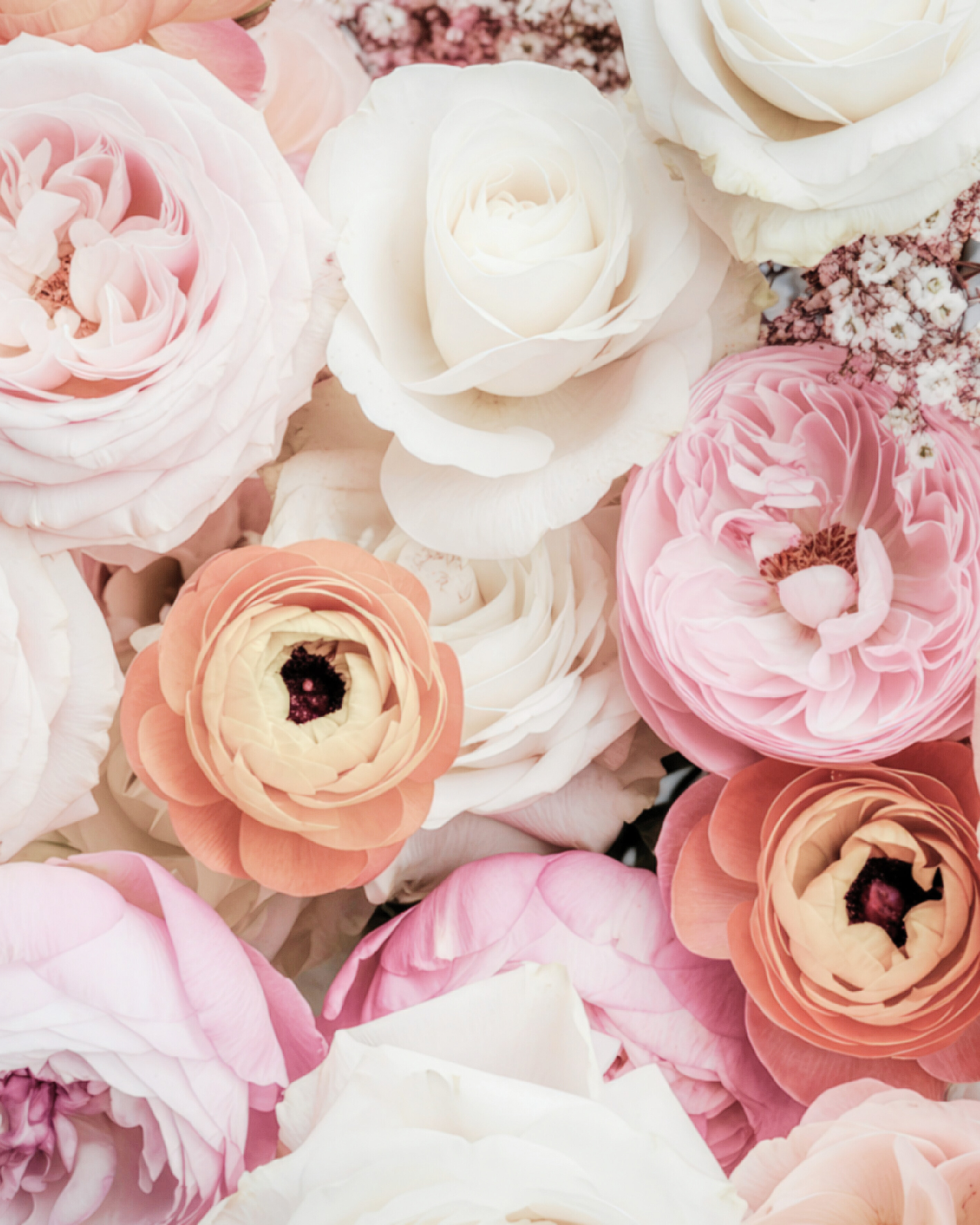 roses, peonies and ranunculus