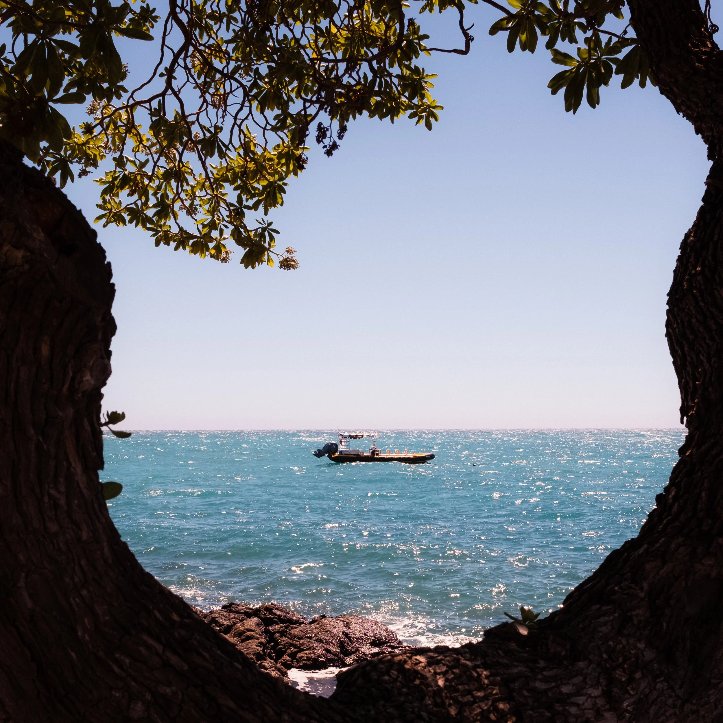 DSCF4805-2.jpg