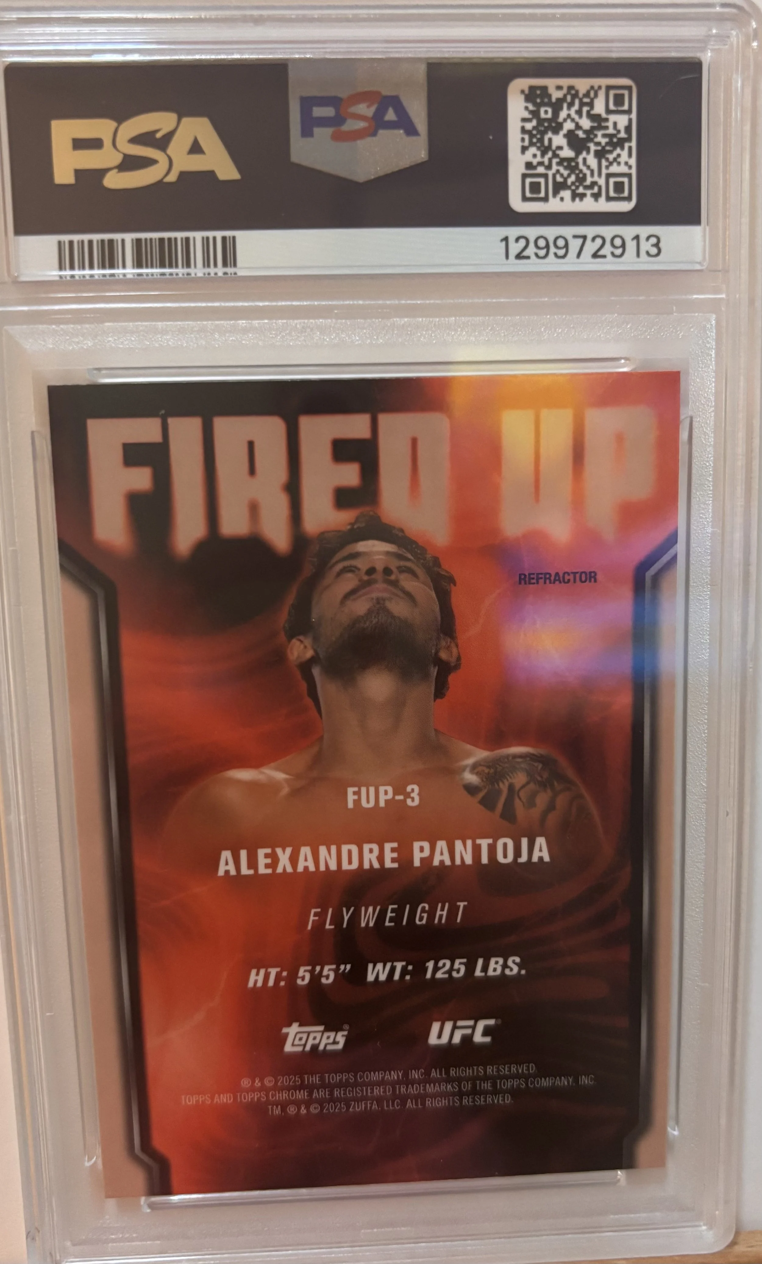 ALEXANDRE PANTOJA 2.jpeg