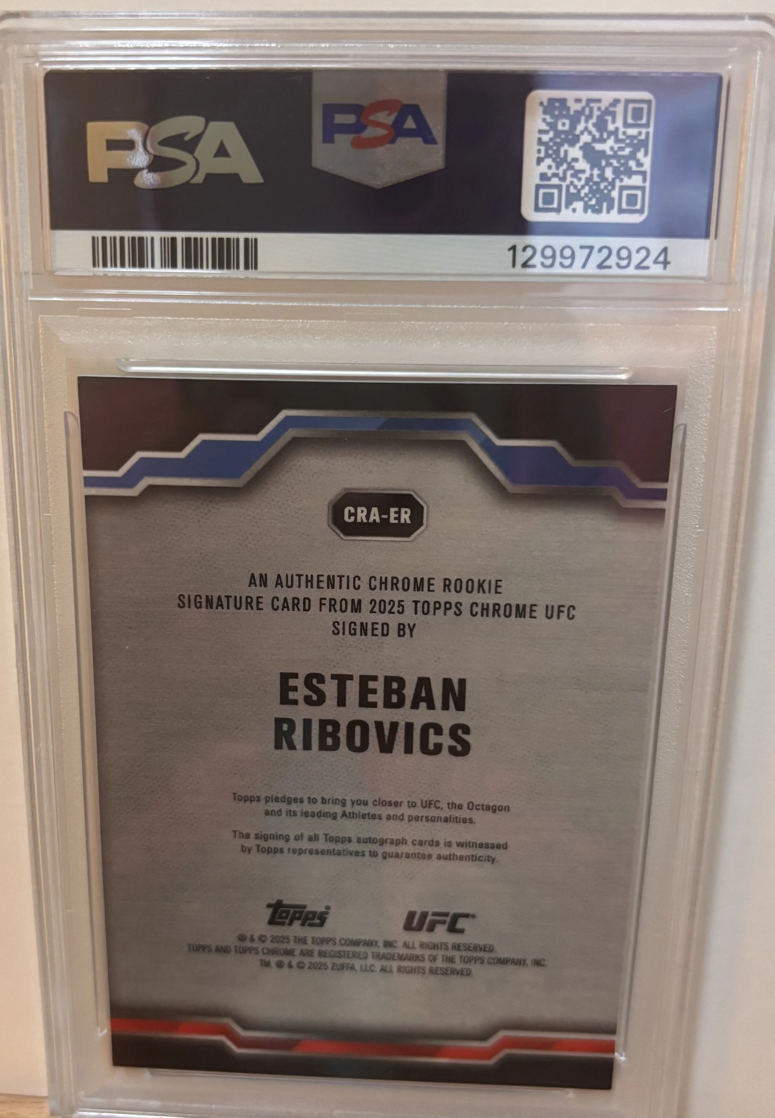 ESTEBAN RIBOVICS 2.jpeg