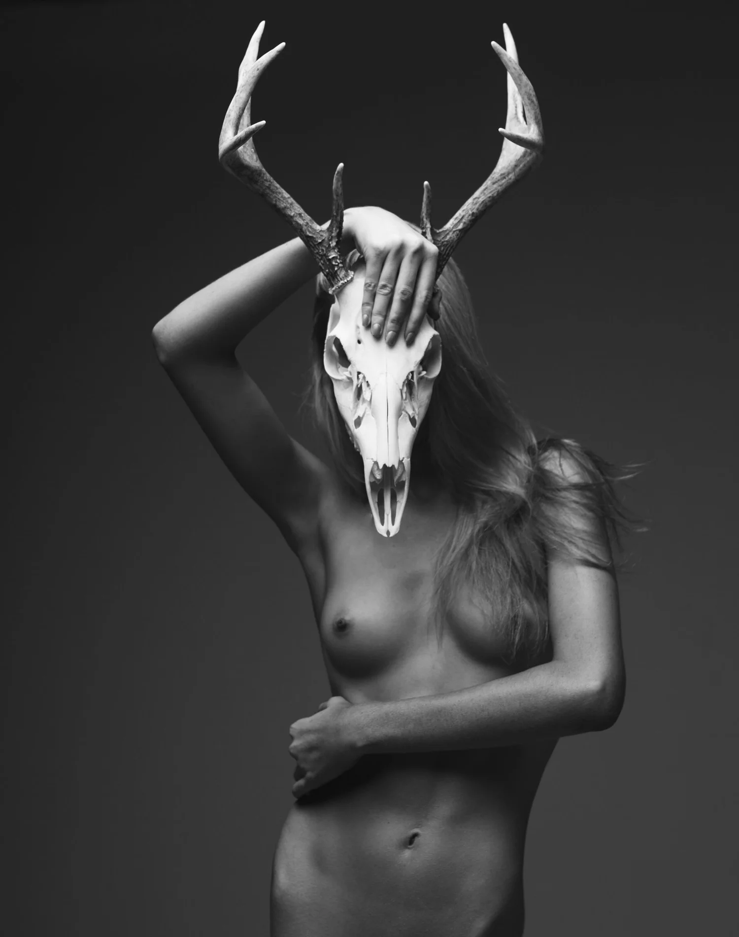 A Pattern of Rebirth, © Aaron McPolin
