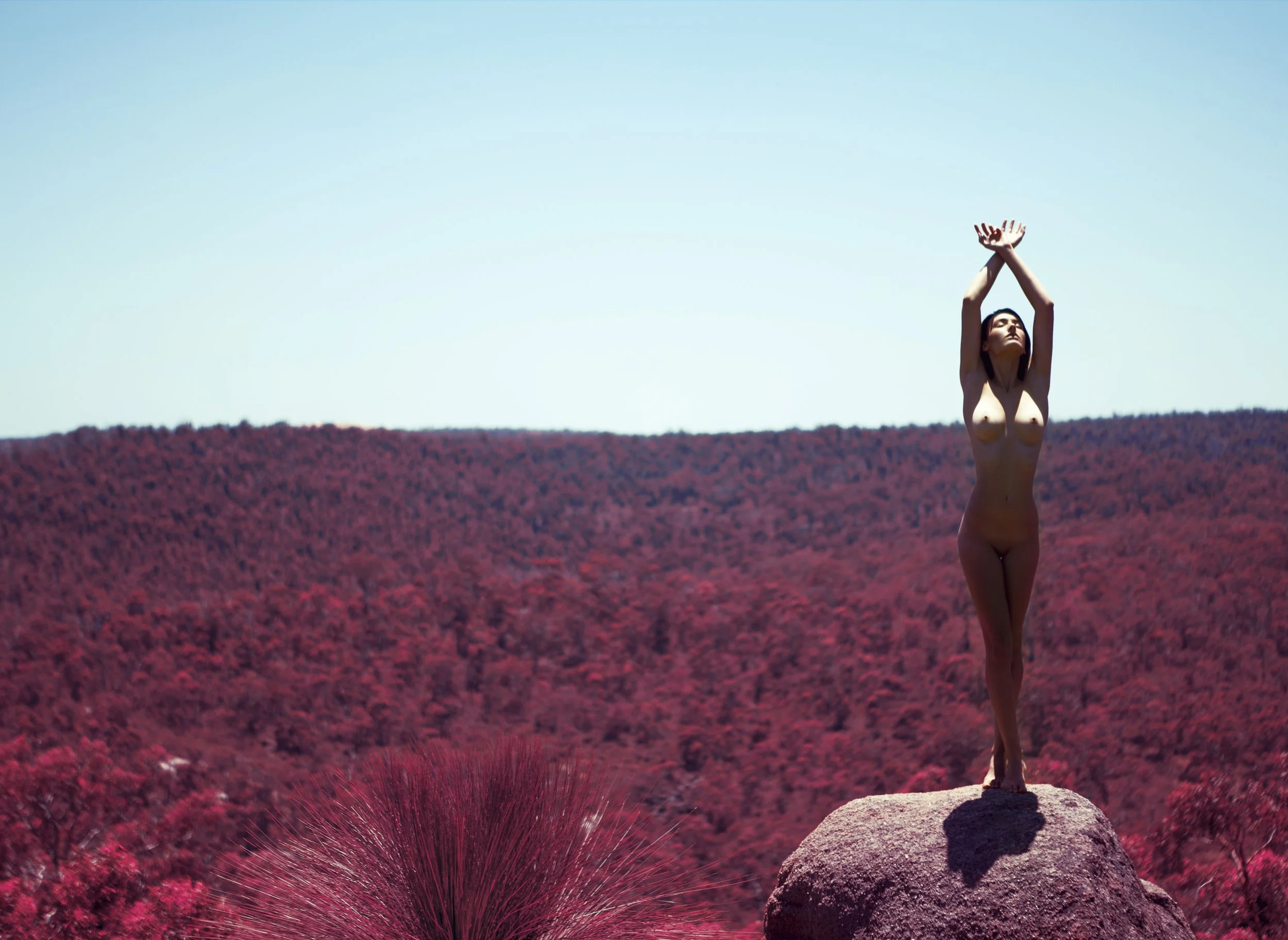 Fine-art muse, © Aaron McPolin