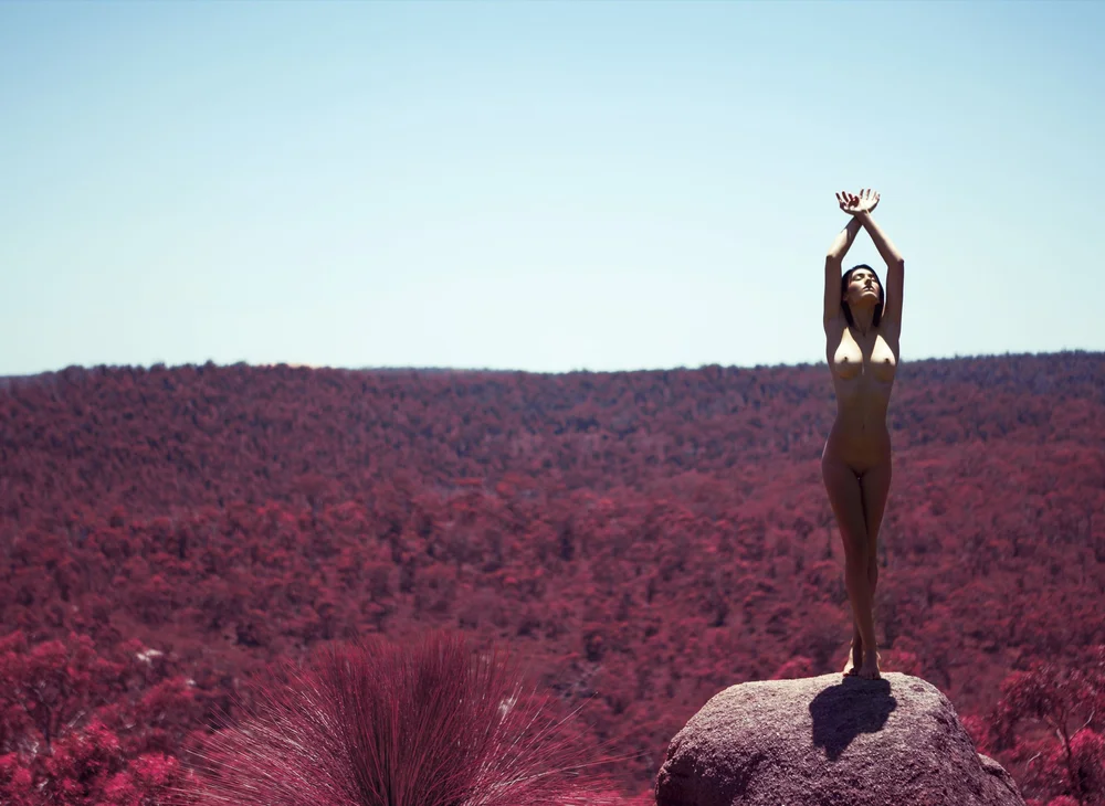 © Aaron McPolin