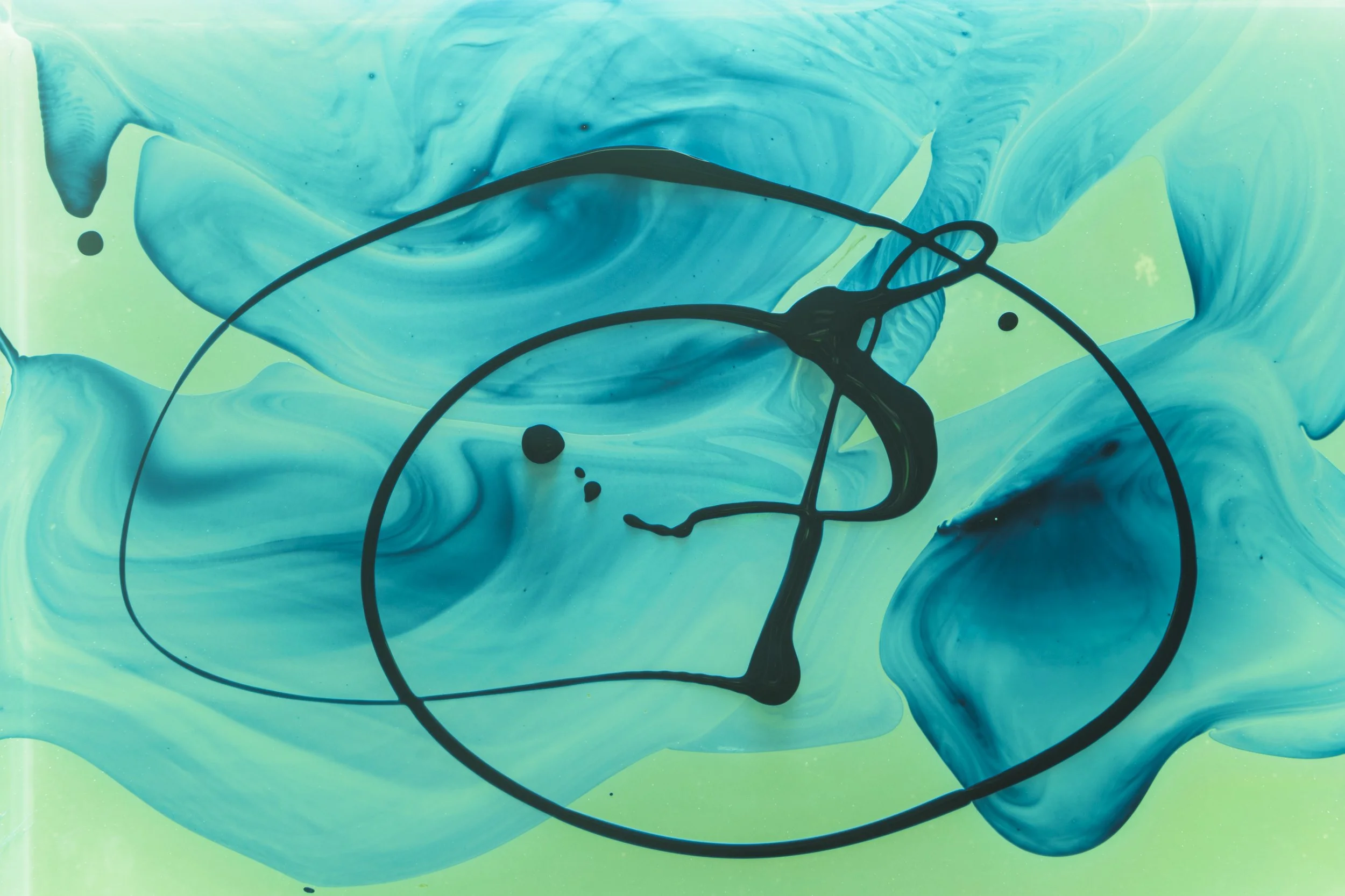 1 Year Membership - $129.99 Monthly