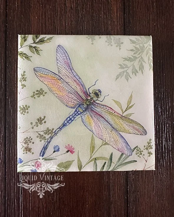 Dragonfly2.jpg