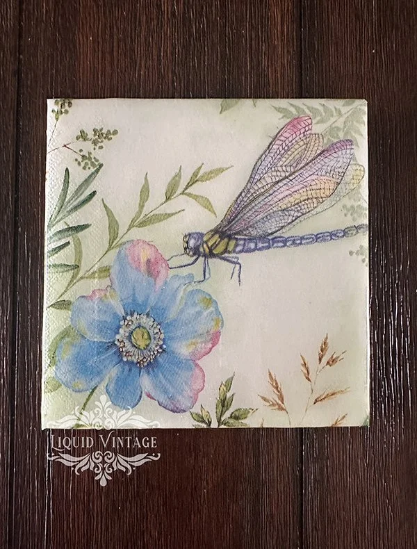 Dragonfly3.jpg