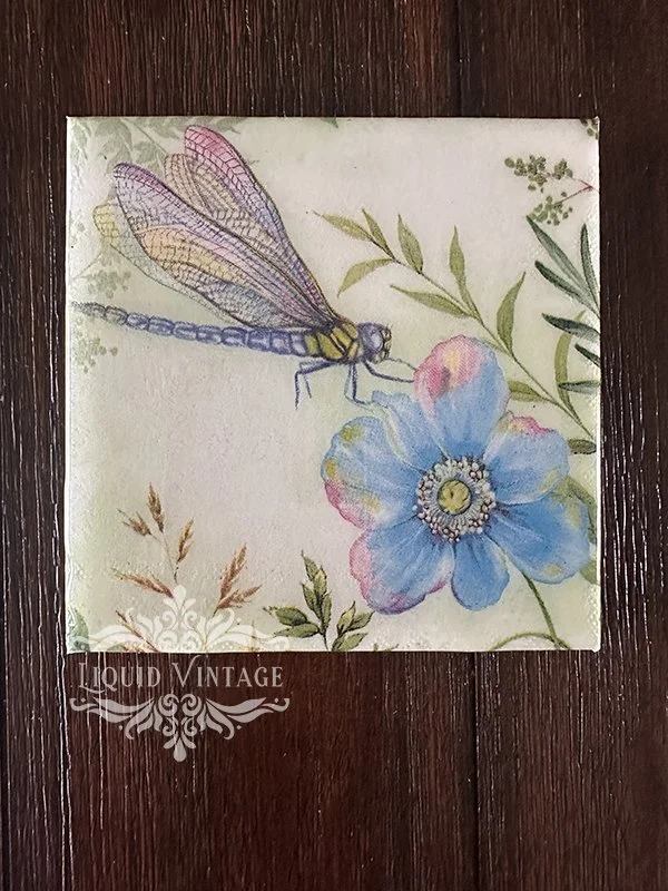 dragonfly1.jpg