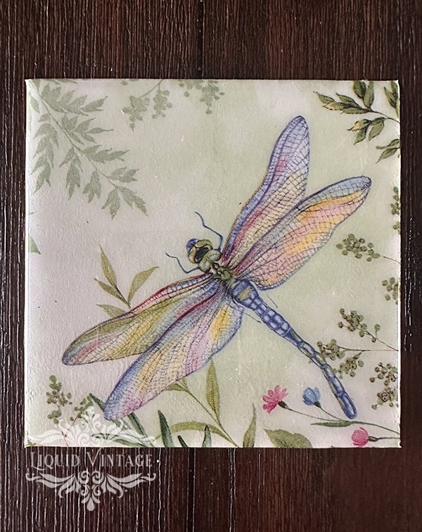 dragonfly5.jpg