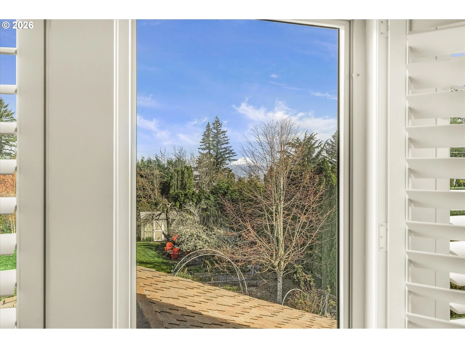 imgi_86_586013218-38 (1).jpg