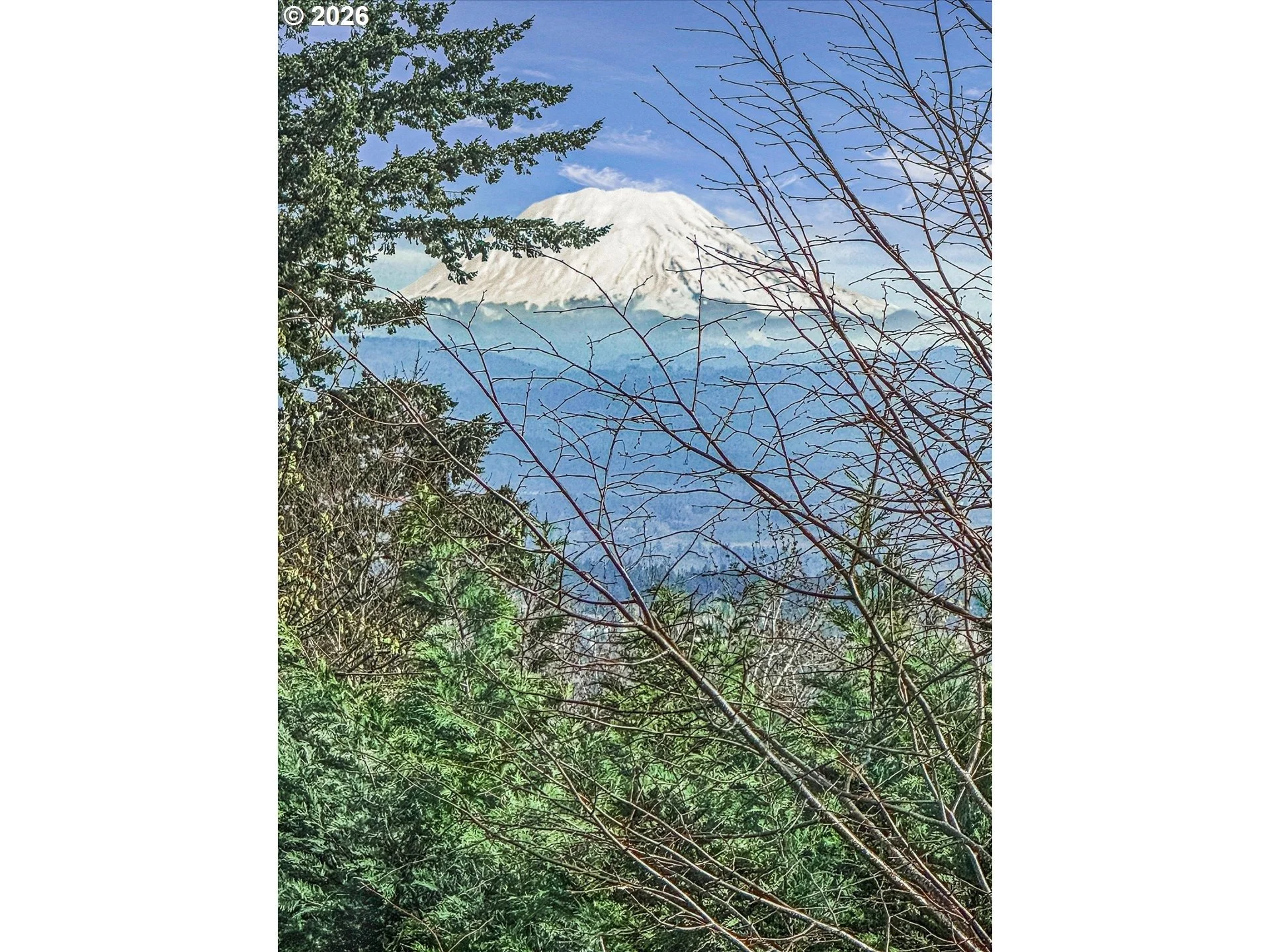 imgi_87_586013218-39 (1).jpg