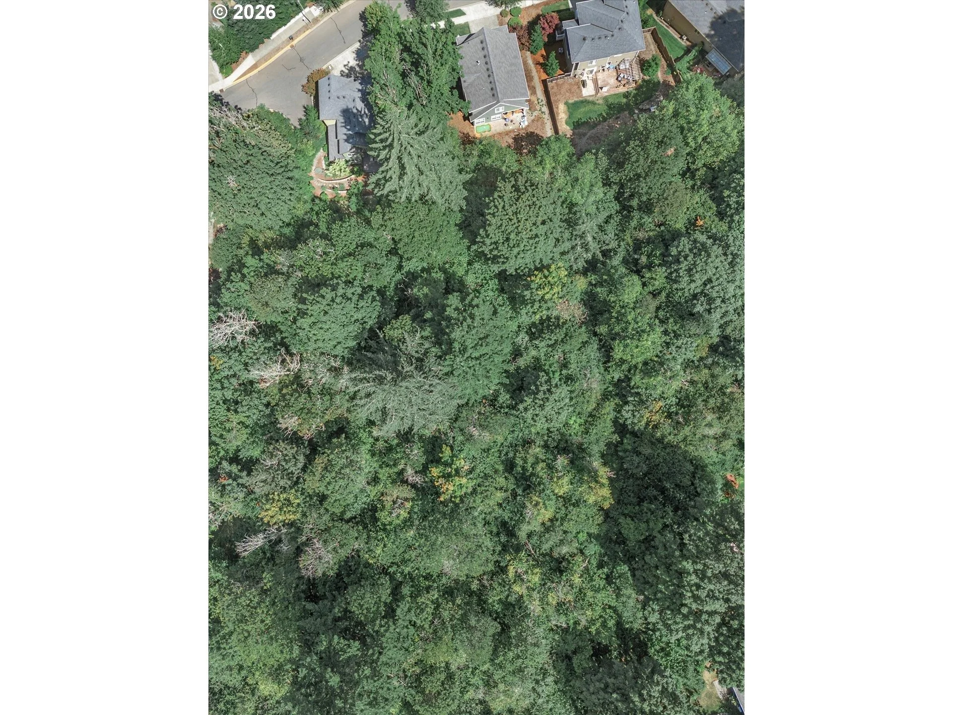 imageye___-_imgi_67_464665701-33.jpg