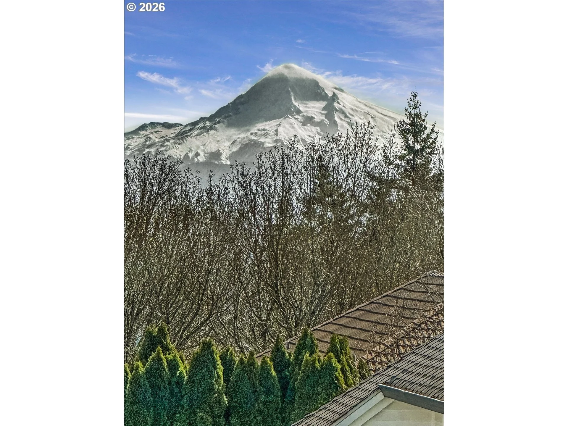 imgi_88_586013218-40 (1).jpg