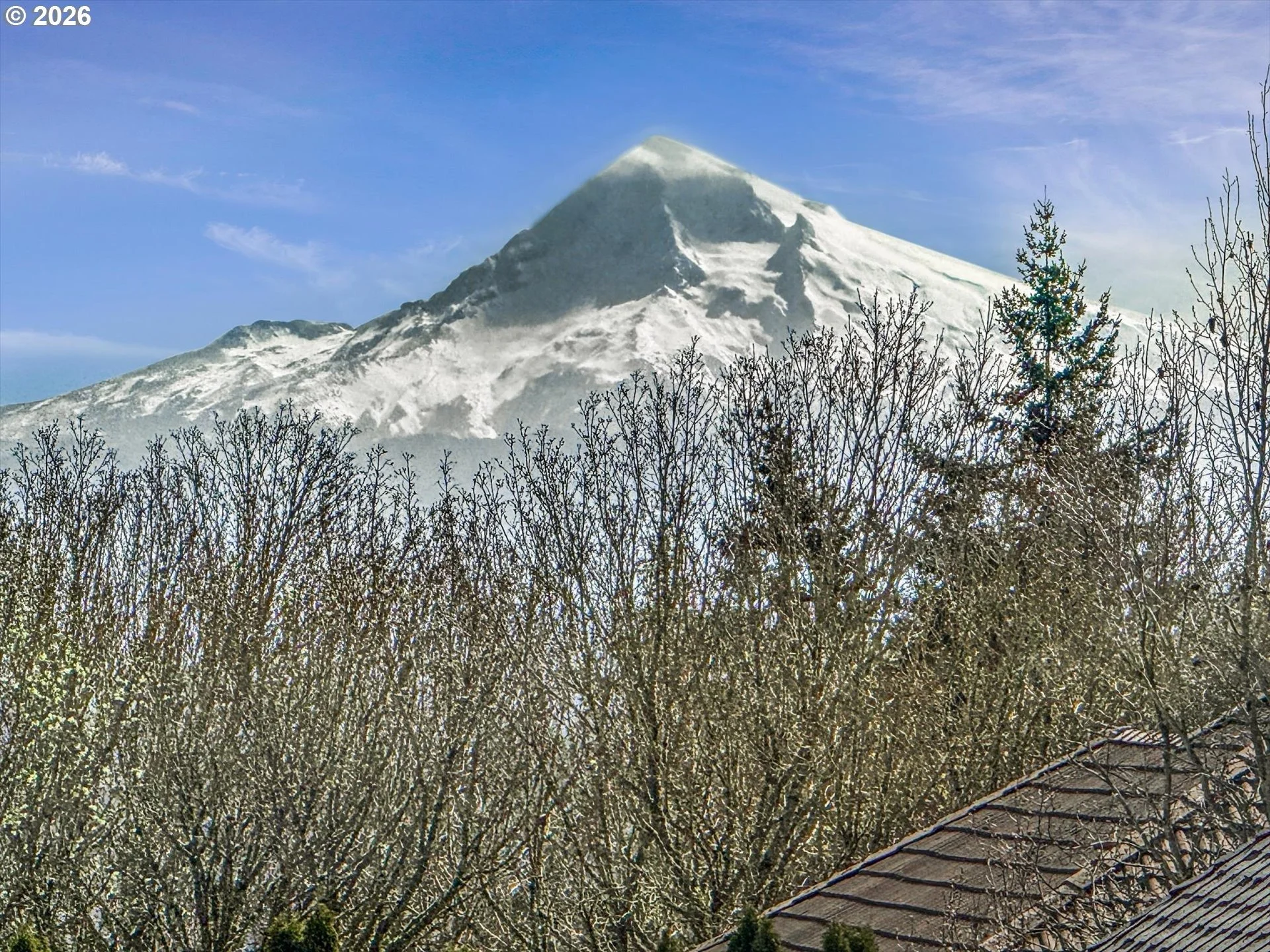 imgi_89_586013218-41 (1).jpg