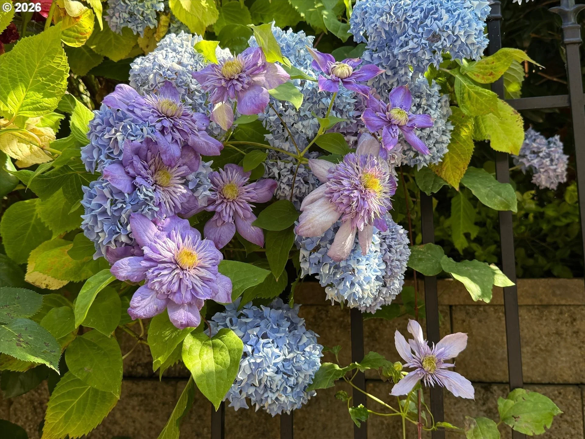 imageye___-_imgi_77_375621879-38.jpg