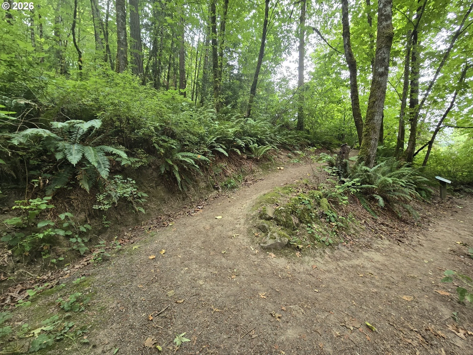 imageye___-_imgi_62_508435094-28.jpg