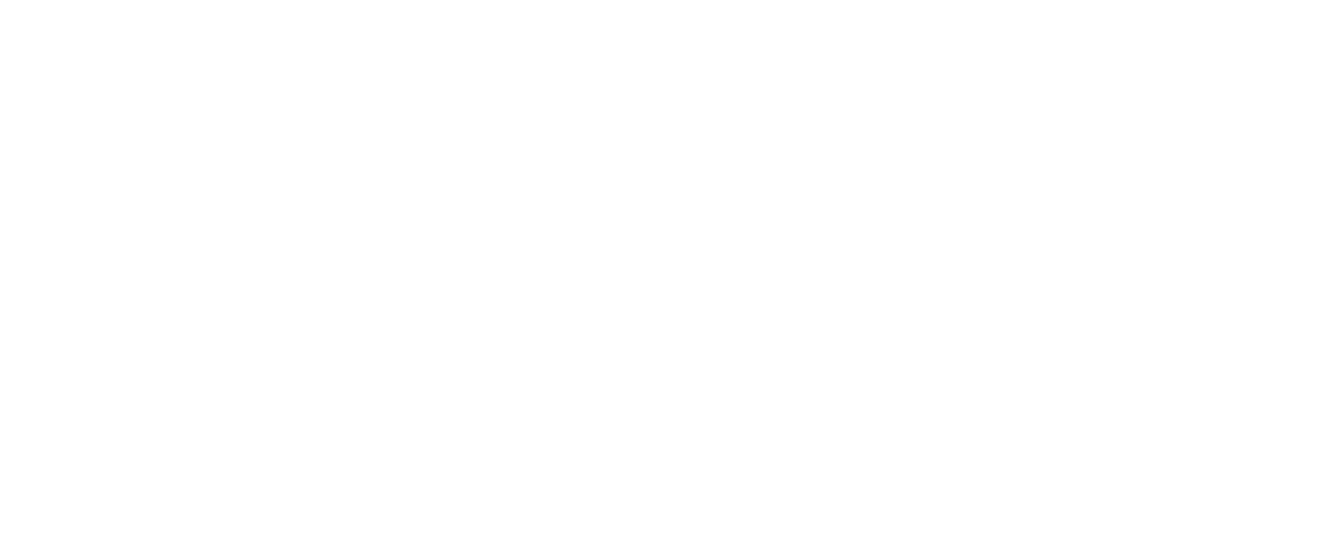 City Backflow Inspections