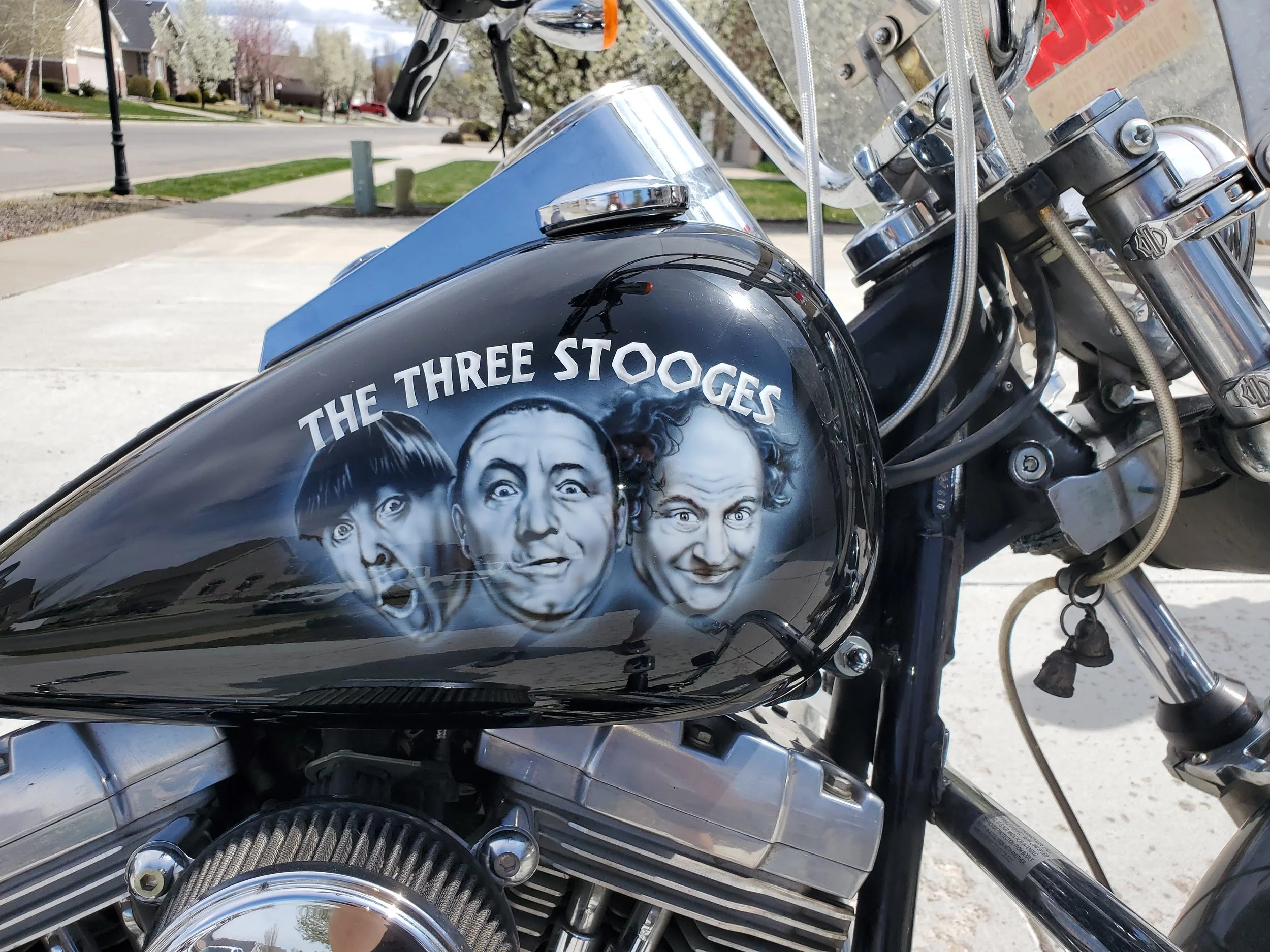 20200411_130743 (1).jpg