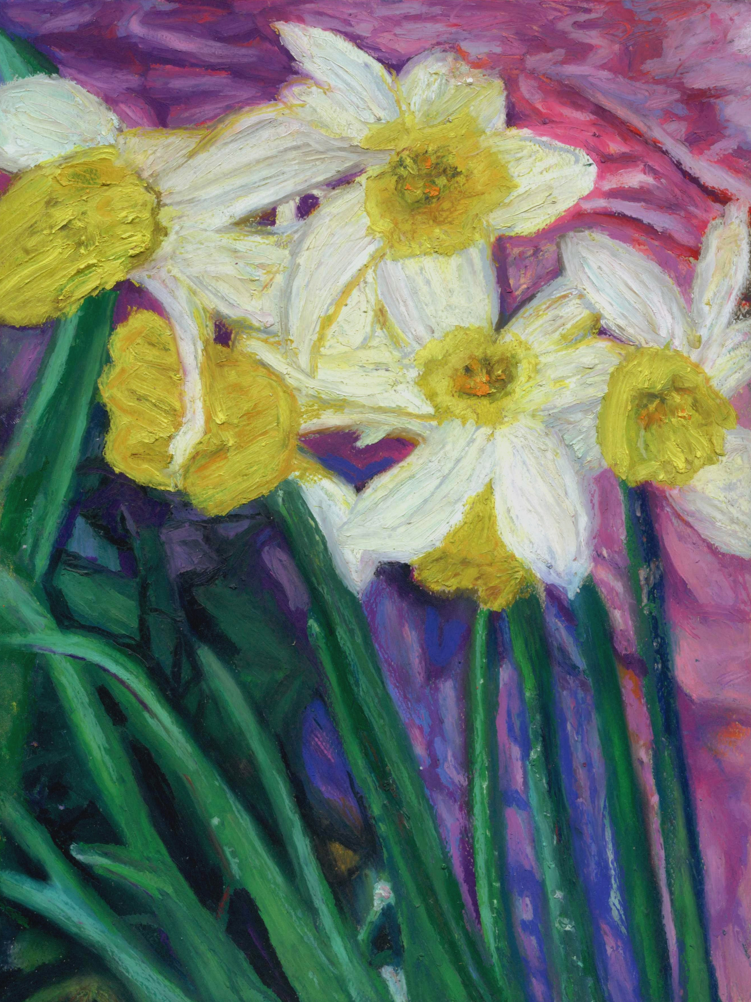 Oil pastel original artwork cream white daffodils with bright yellow in middle of flower and tall dark green stems with jade accents against segmented background with black blue purple and pink 9x12