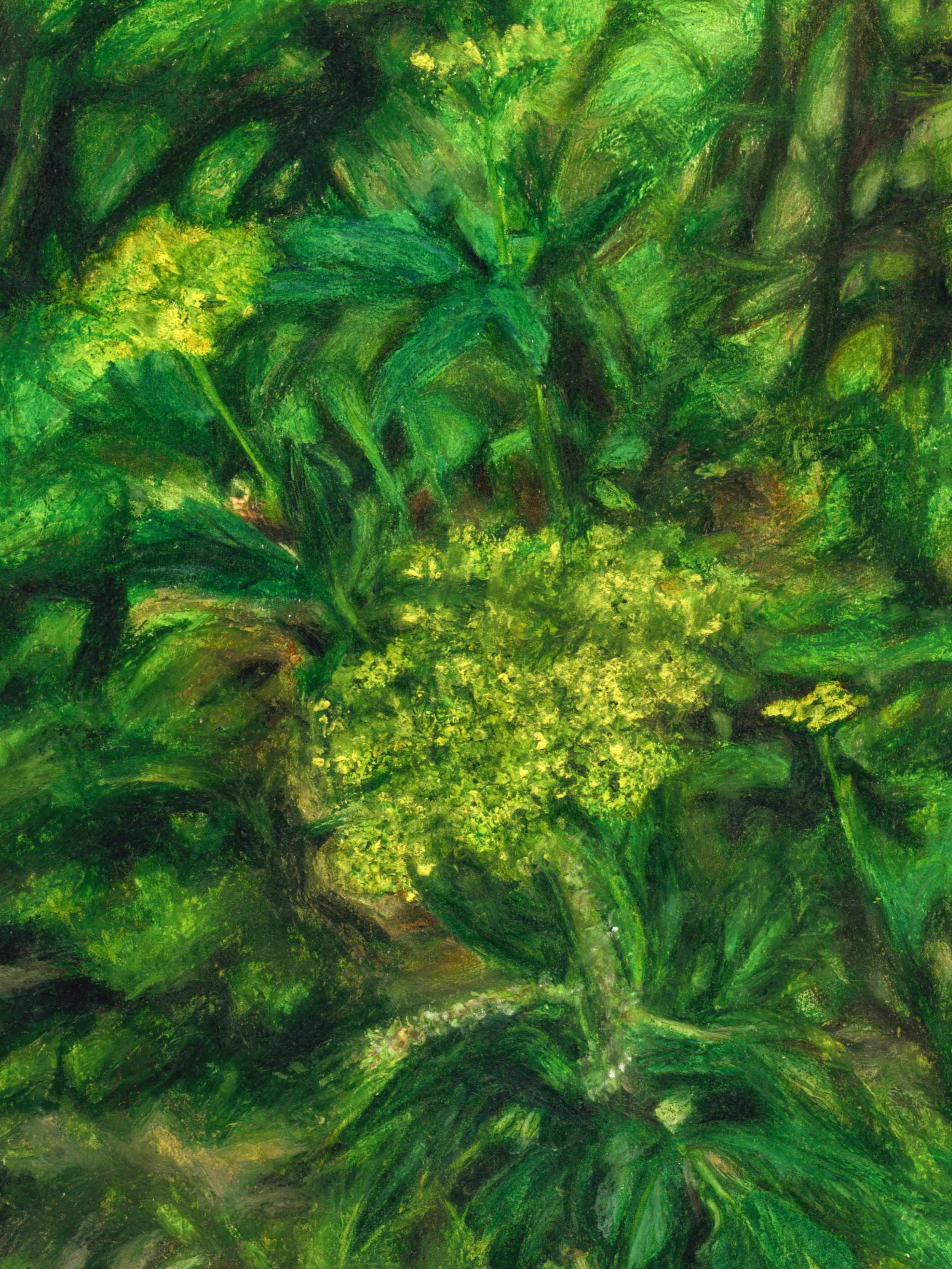 Oil pastel original artwork of zizia aurea yellow flowers with unfocused abstract green and black background 9x12