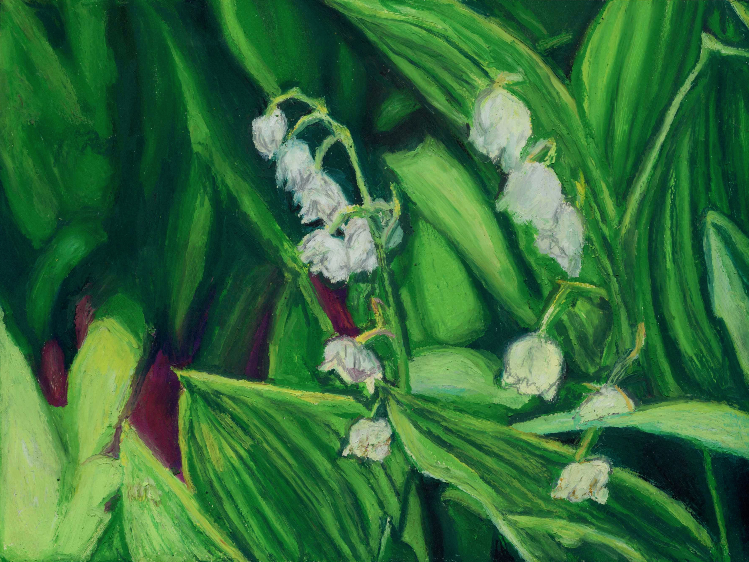 Lily of the Valley, 12x9