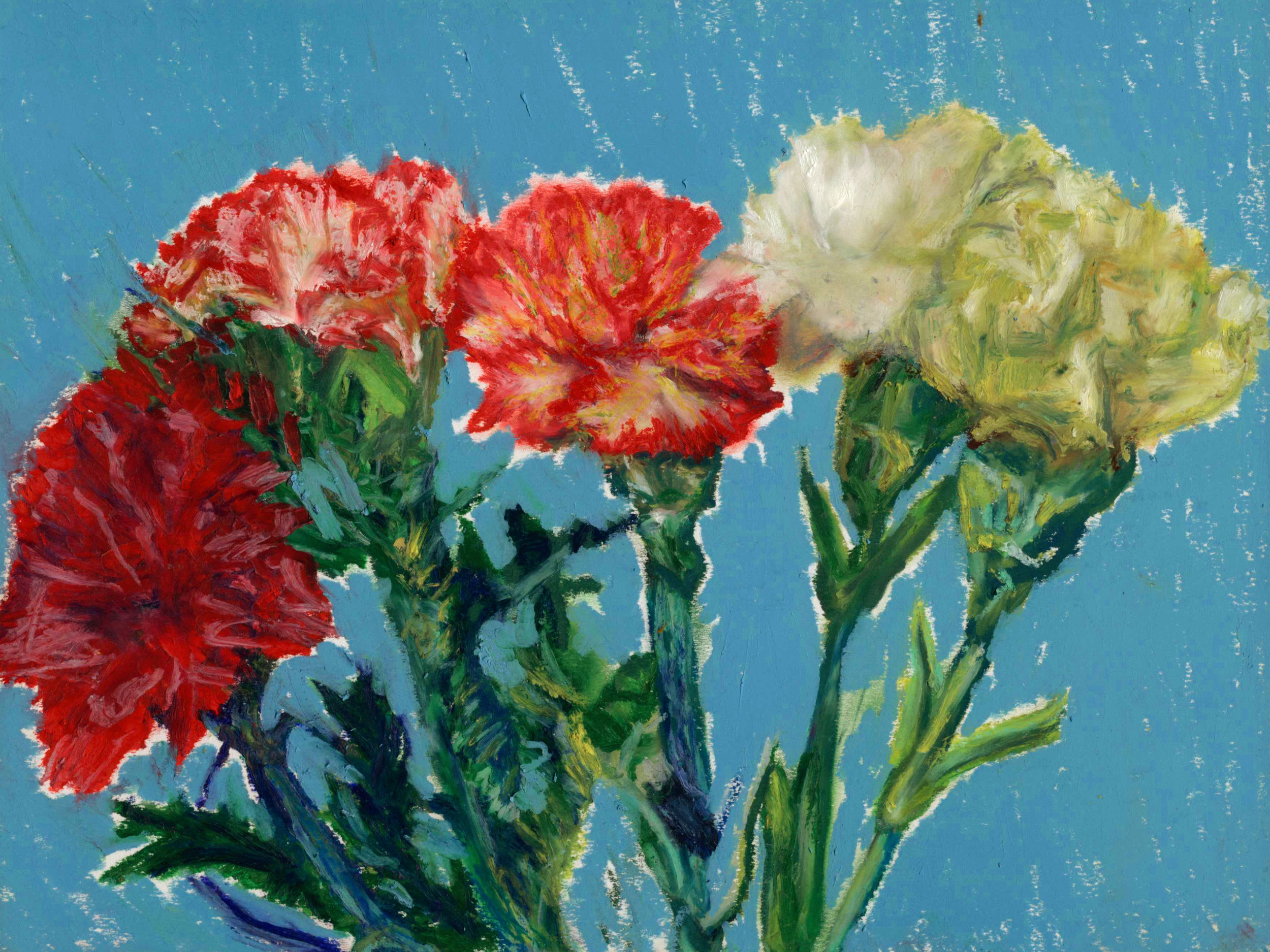 Carnations, 12x9; 16x12