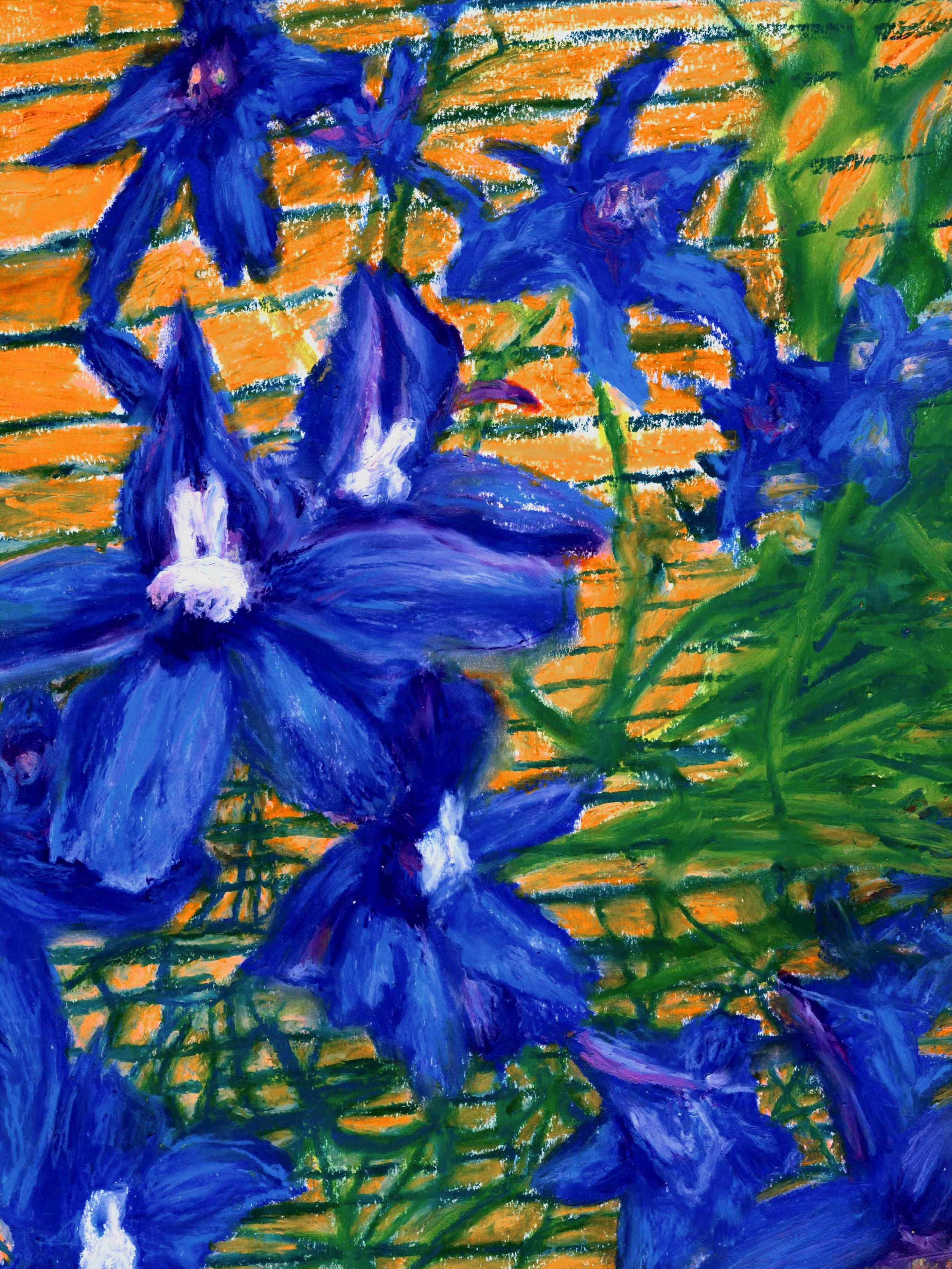 Delphiniums, 9x12