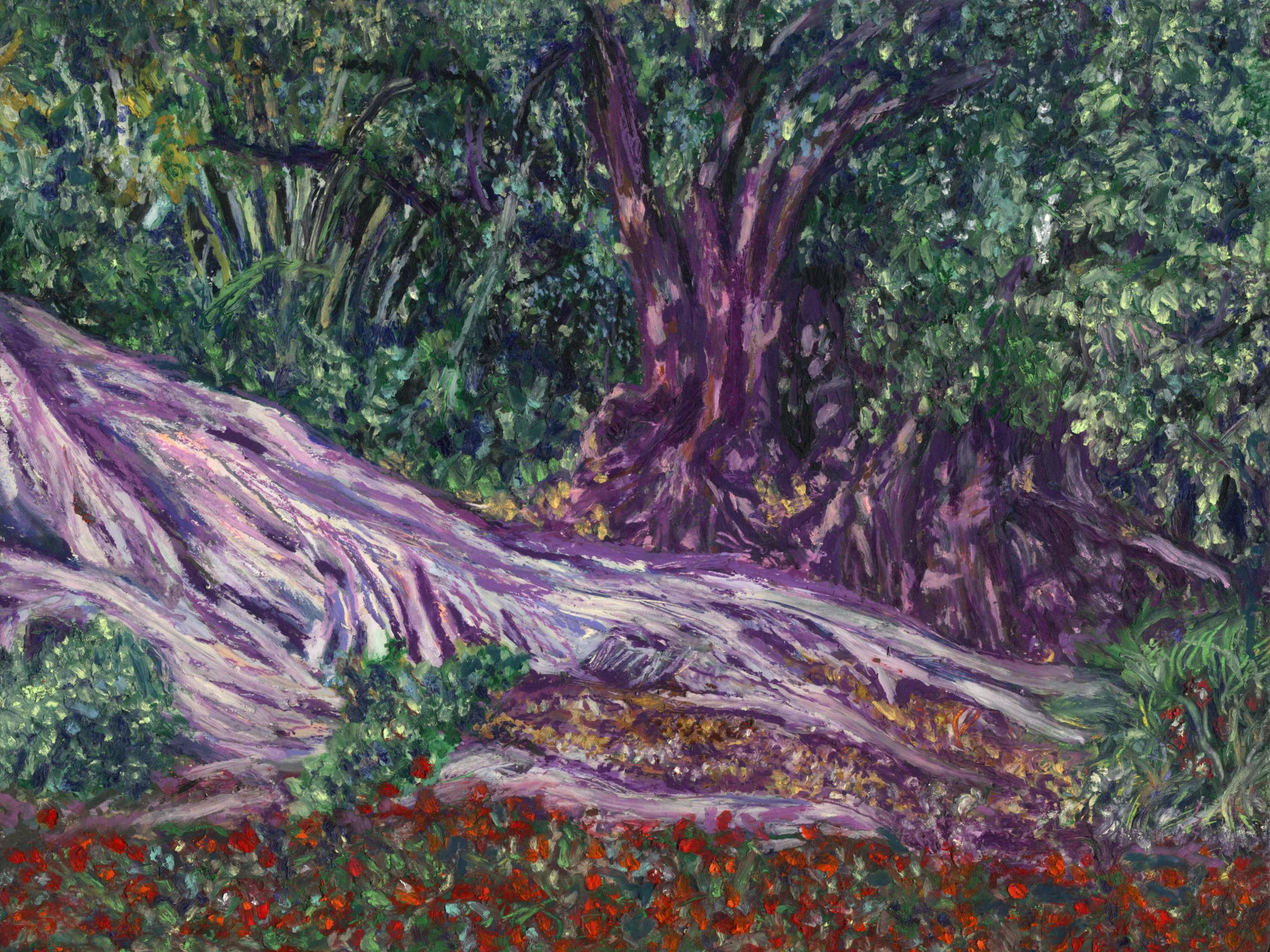 Roots, 12x9