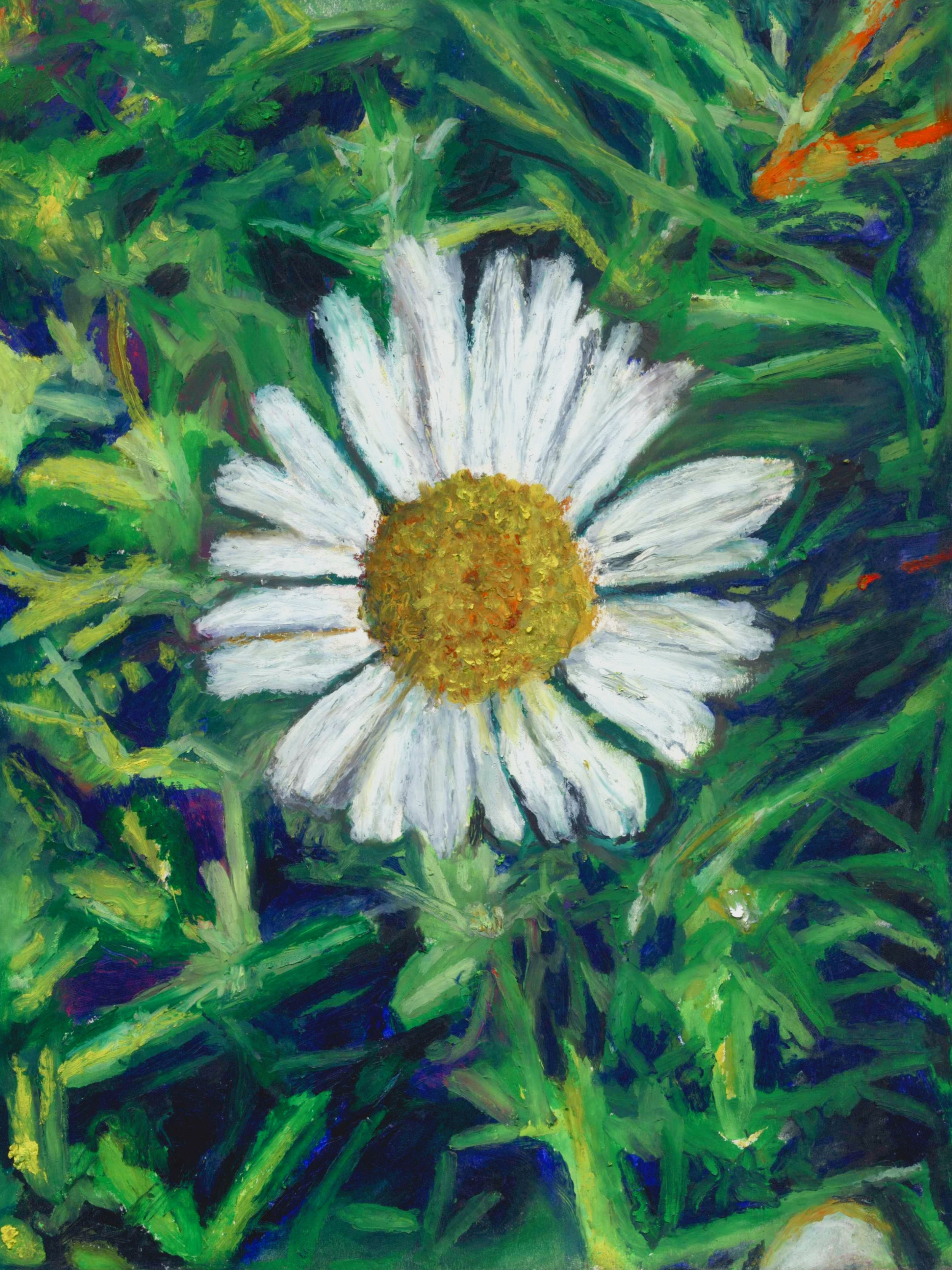 Daisy, 9x12; 12x16