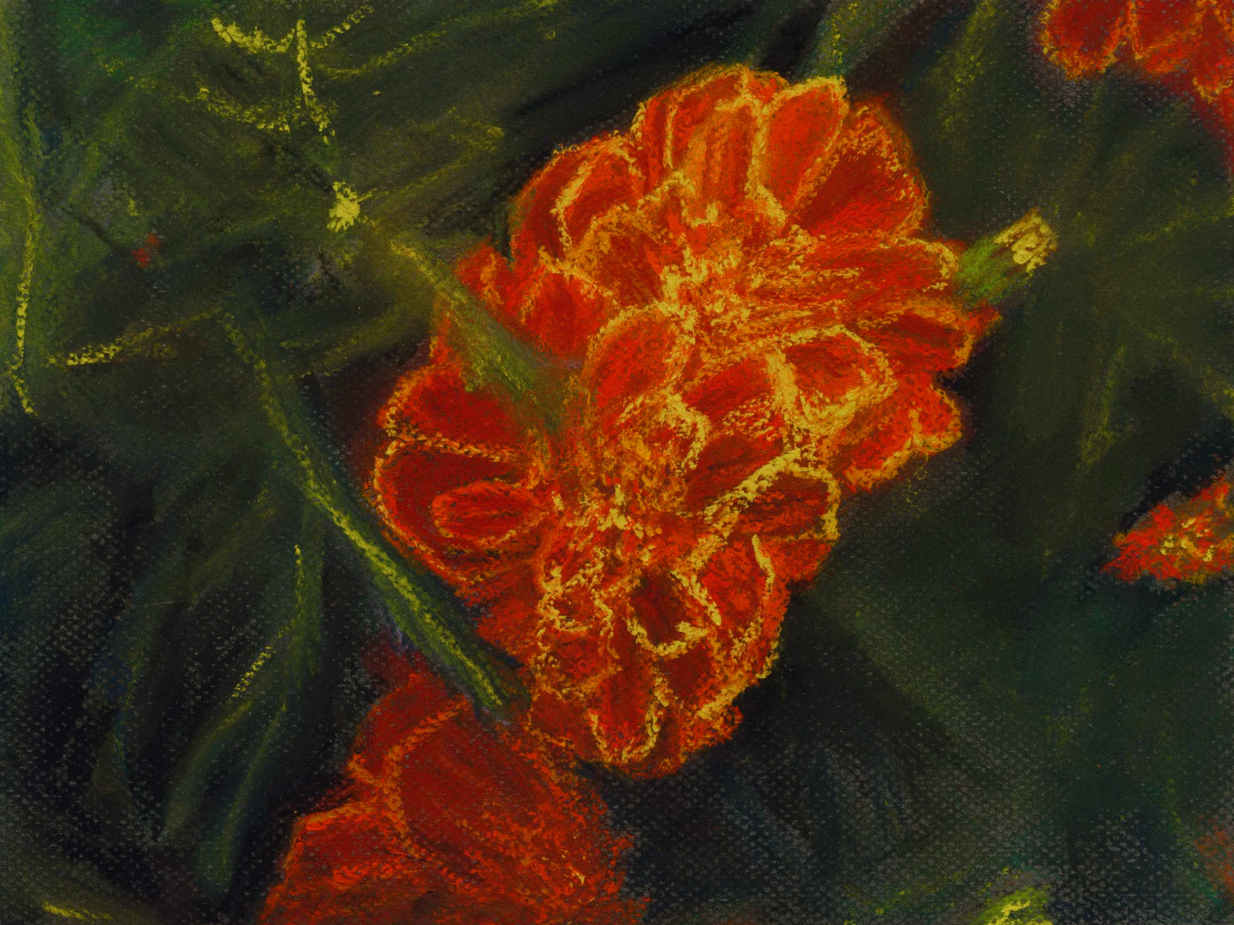 Marigolds, 12x9; 16x12