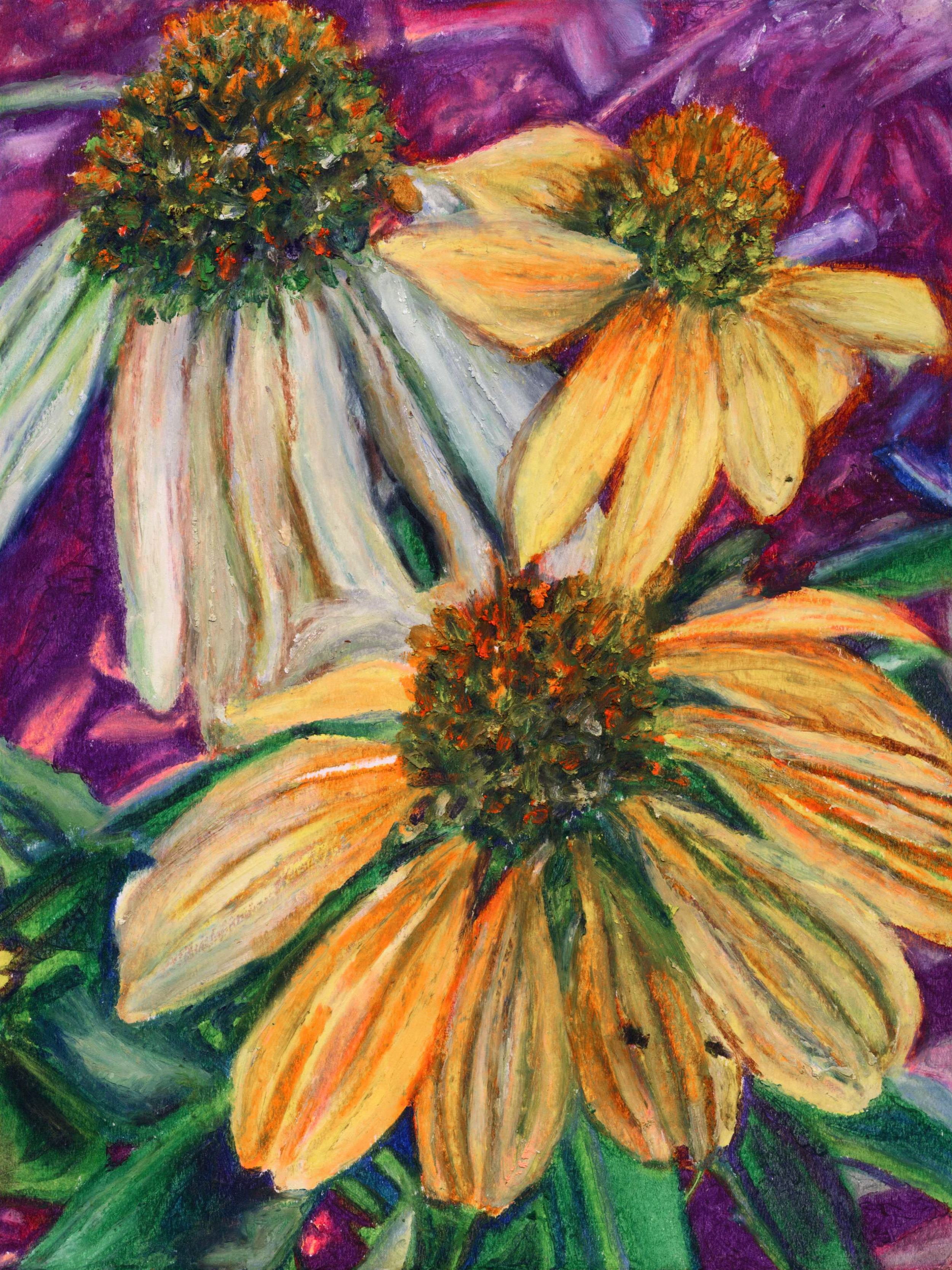 Coneflowers, 9x12