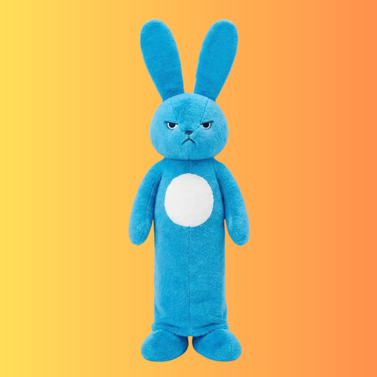 What the Rabbit Said