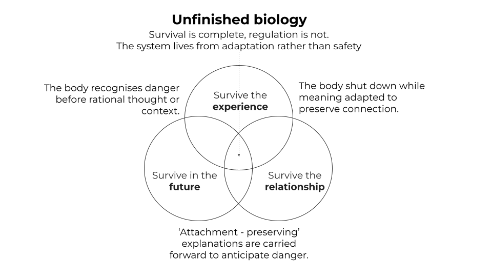 Unfinished Biology - the missing key to lasting change