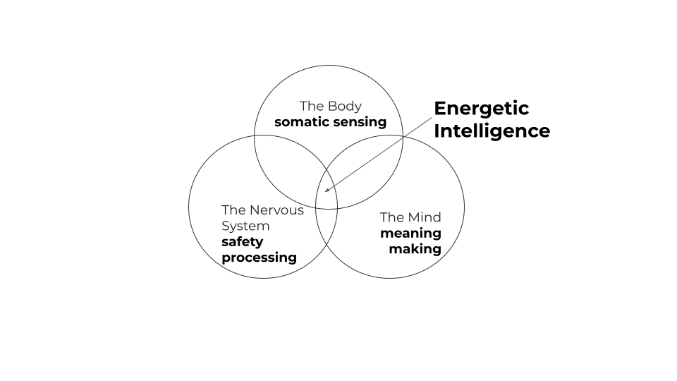 Energetic Intelligence - the body speaks when the mind won’t listen