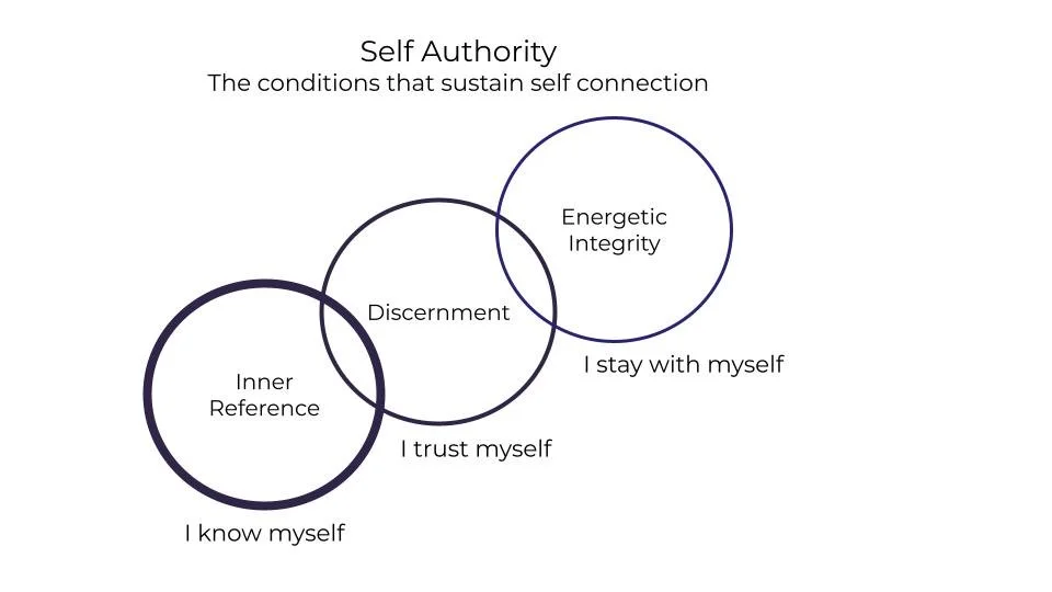 Self Authority - connection without trust is not secure