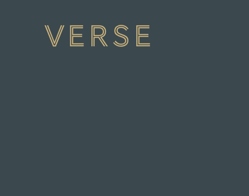 The image has the word 'VERSE' written in large gold letters on a dark gray background.