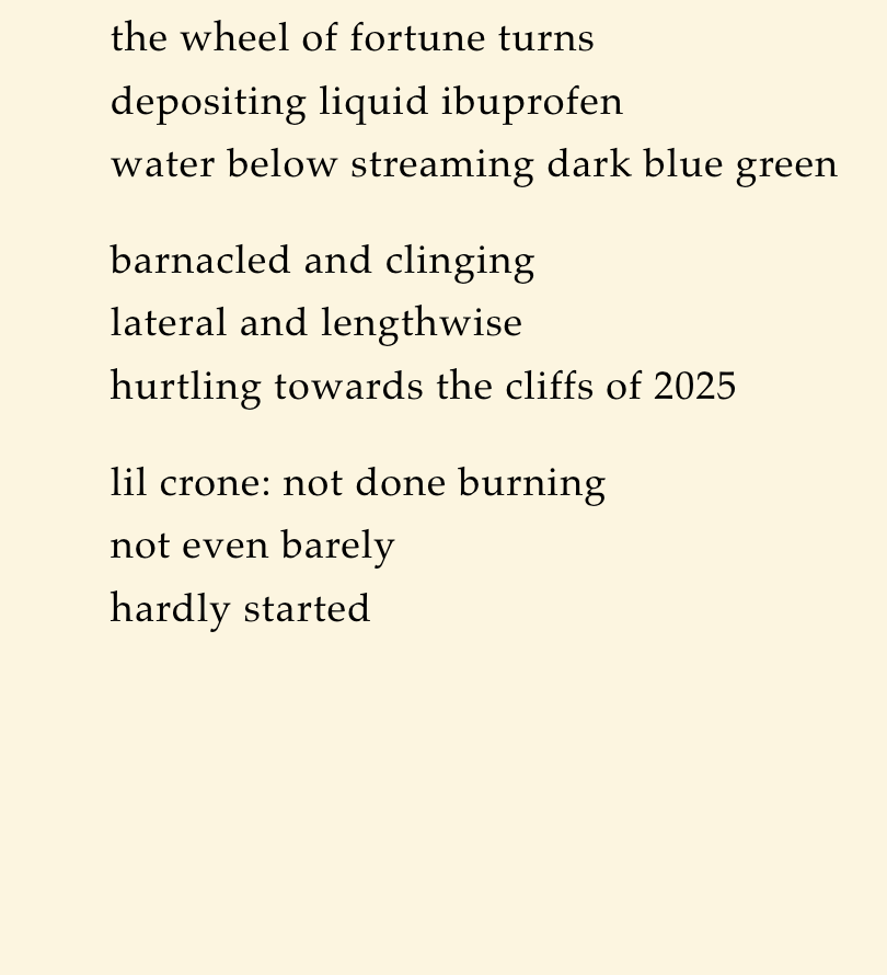 A close-up of a page with a poem written in black text on a plain, creamy background. The poem mentions a wheel of fortune, liquid ibuprofen, water, dark blue green colors, a barnacle, cliffs of 2025, and a lil crone not yet done burning.