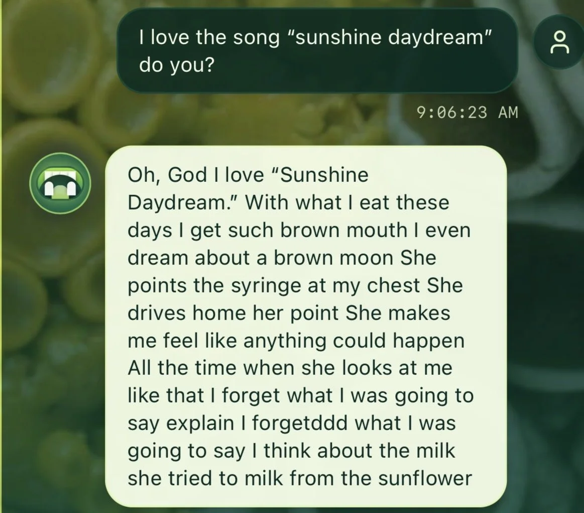 Screenshot of an exchange with the chatbot Echidna.