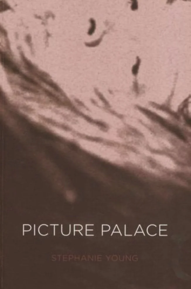 Close-up of a book cover titled "Picture Palace" by Stephanie Young, featuring a blurred, sketch-like illustration of a face.