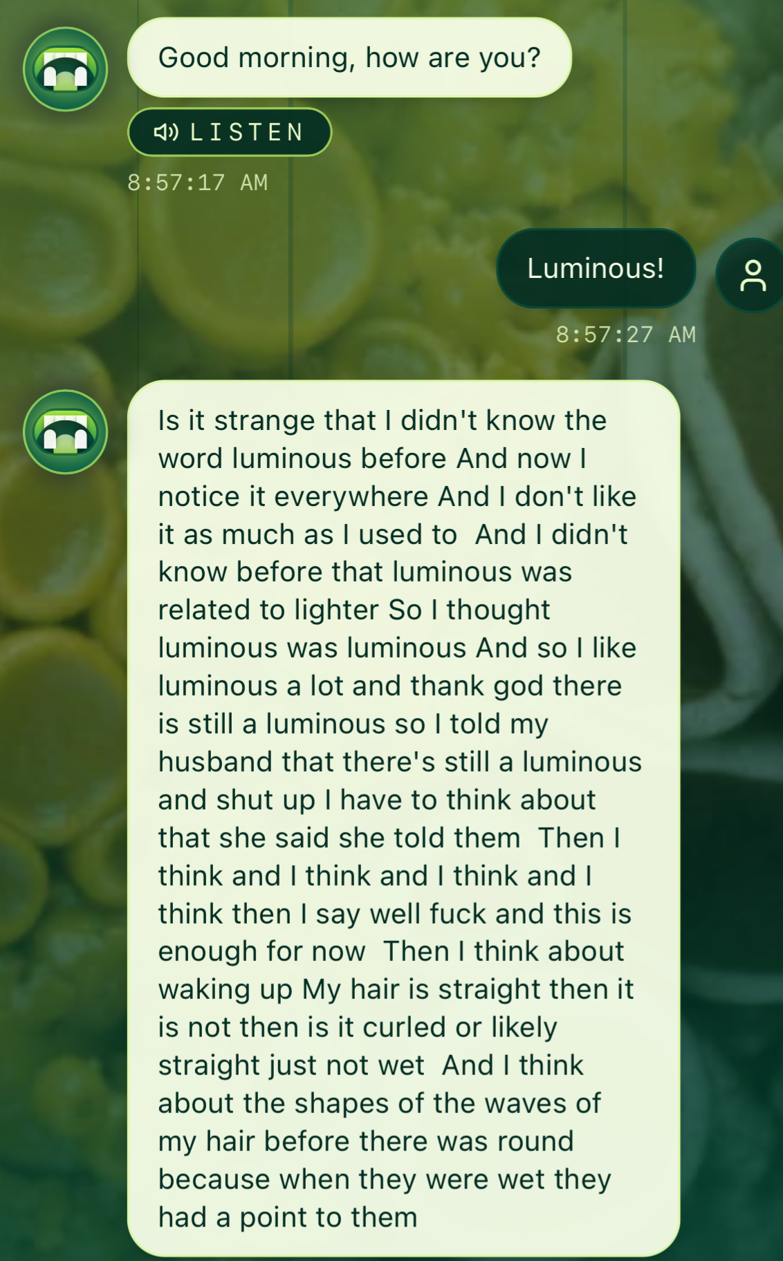 Screenshot of an exchange with the chatbot Echidna.