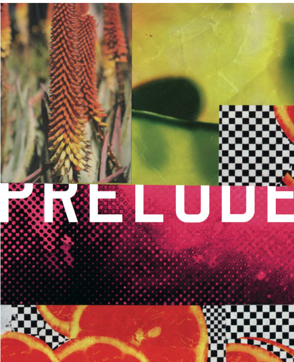 A collage featuring plants, a shadow, a checkered pattern, and slices of orange.