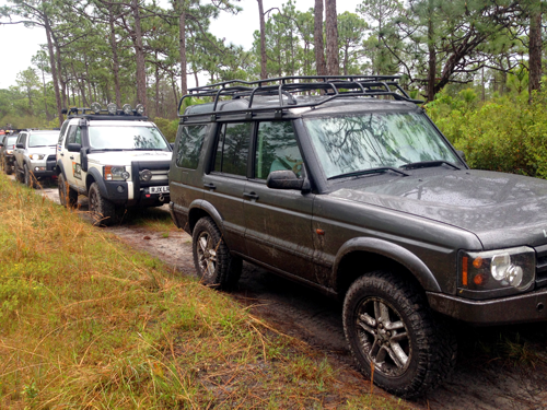 Multiple off-road vehicles parked on a muddy trail in a forested area with pine trees.