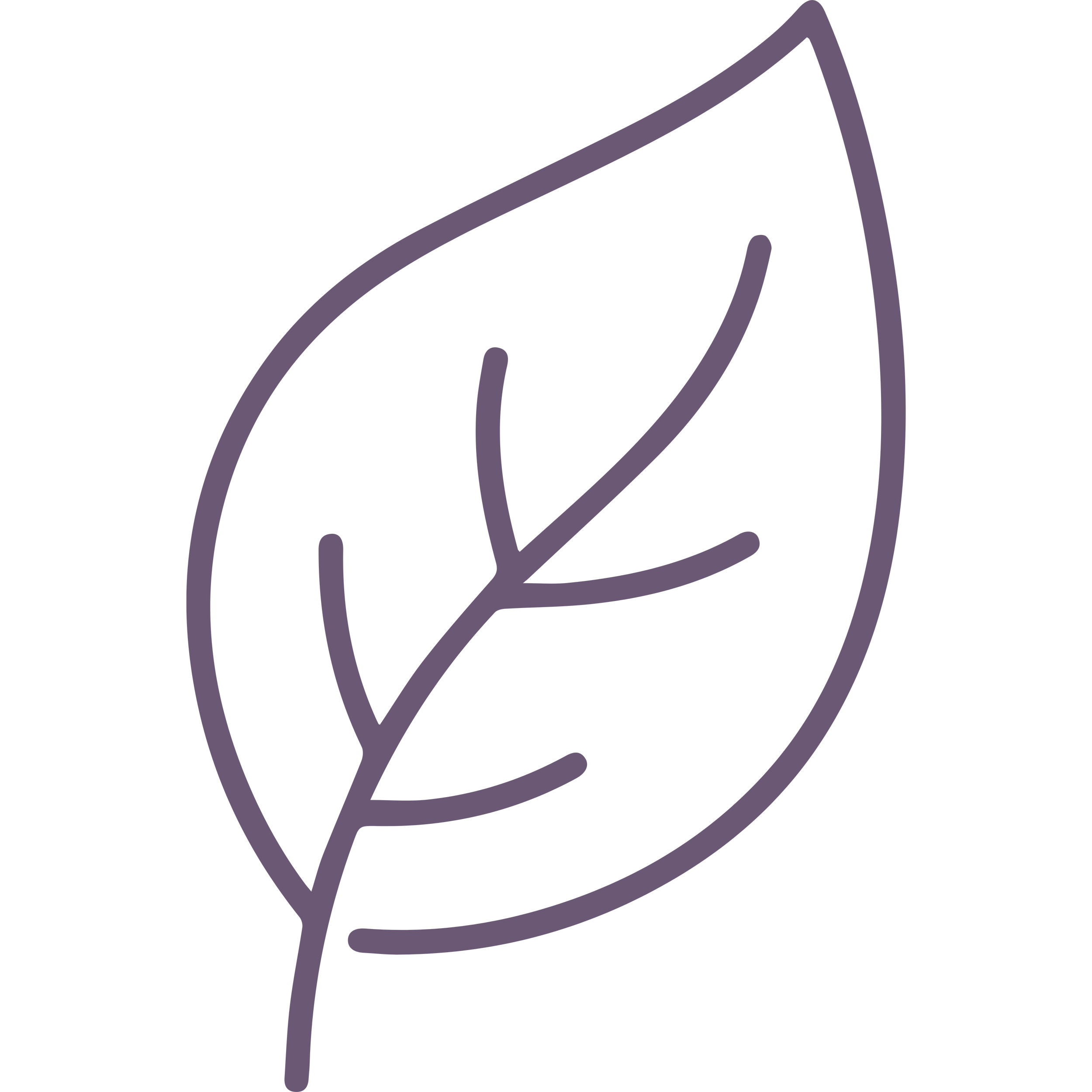 Outline drawing of a leaf in purple color on a black background.