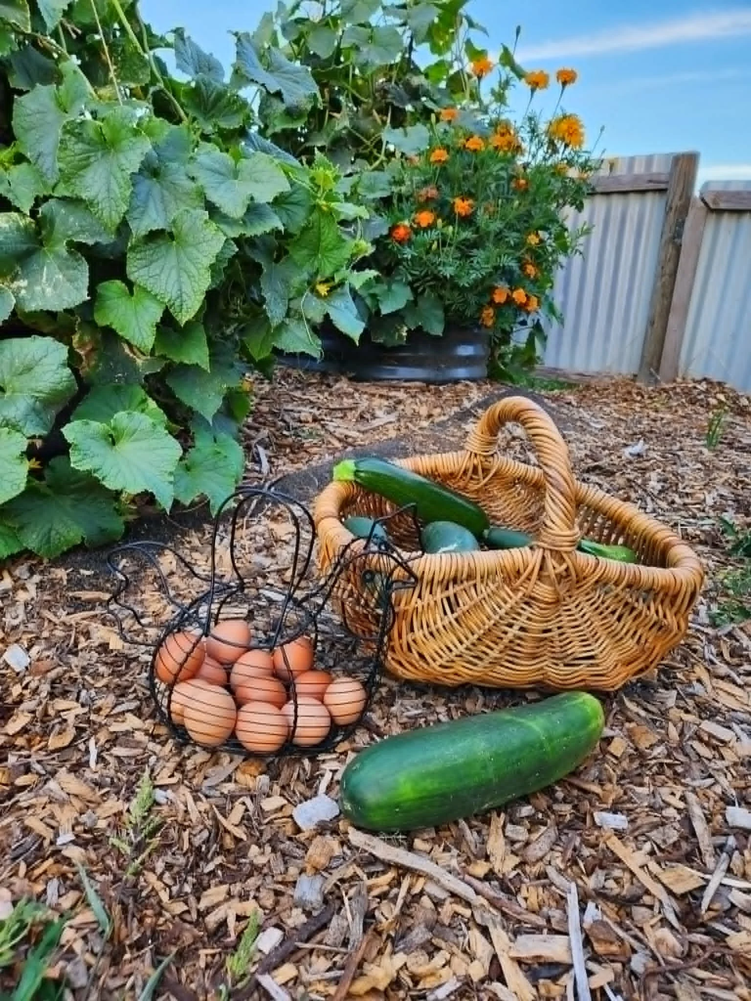 Home Solar & Battery can power water pumps for garden