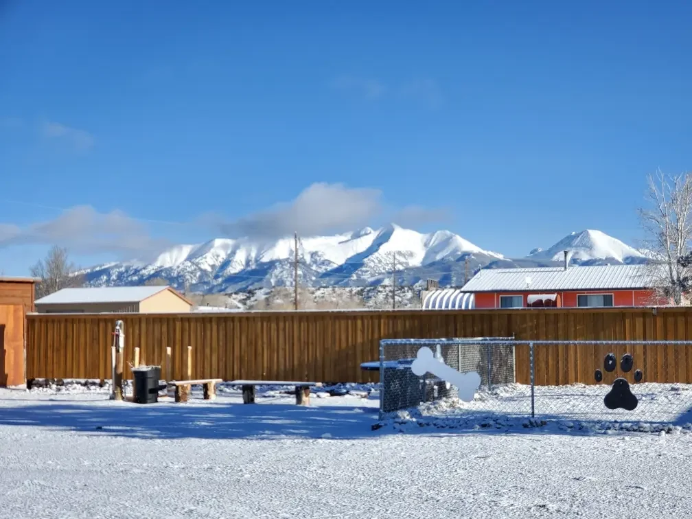 Snow-covered dog park with a wooden fence, dog bone-shaped and paw-shaped accessories, mountains in the background, clear blue sky.