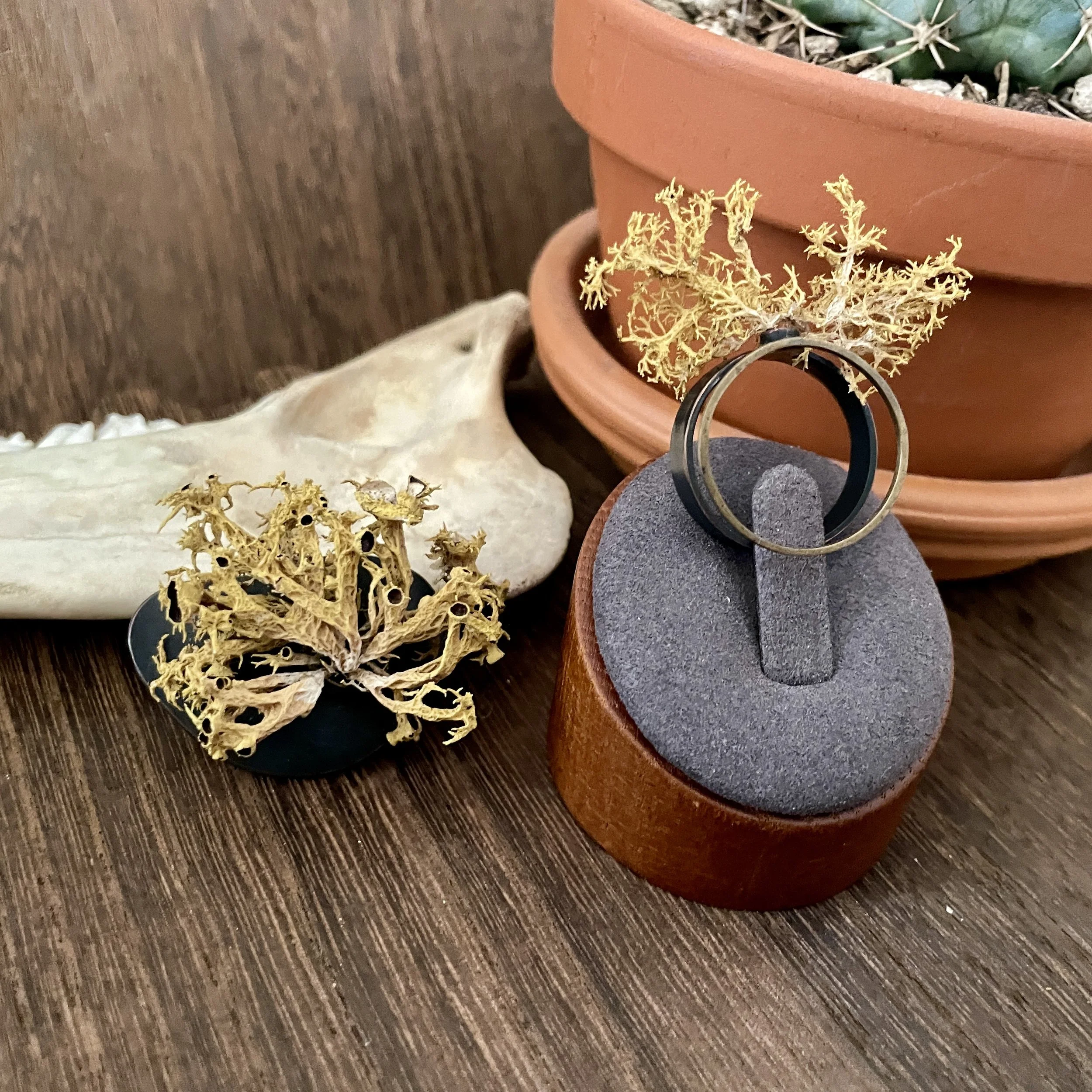 Lichen Ring and Brooch Set