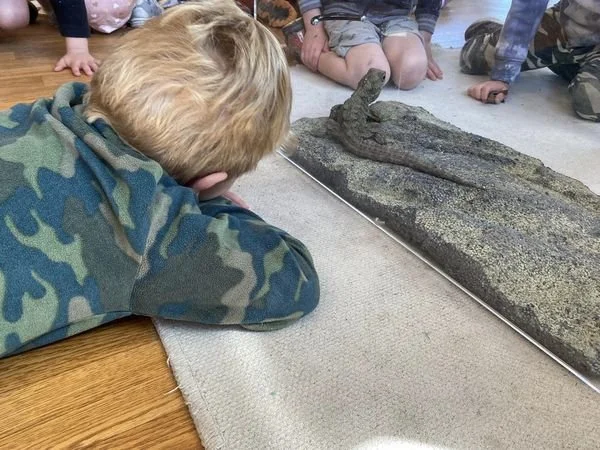 Fernside Preschool (1) - Copy.jpg