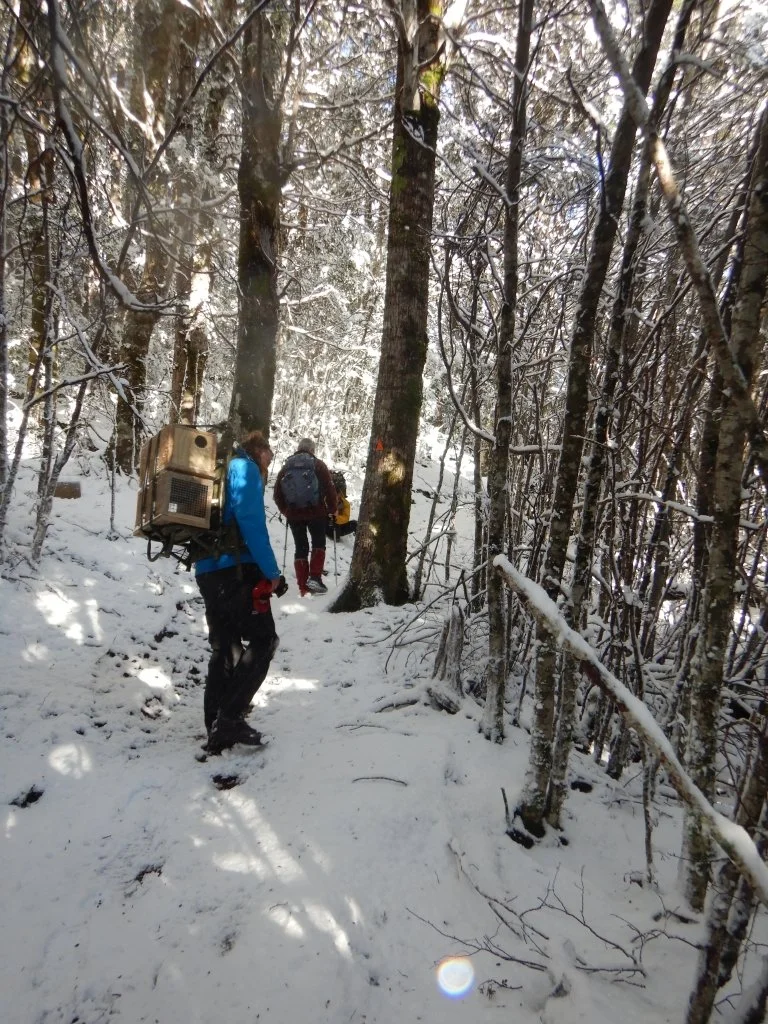 DSCN2984-Low Res.jpg