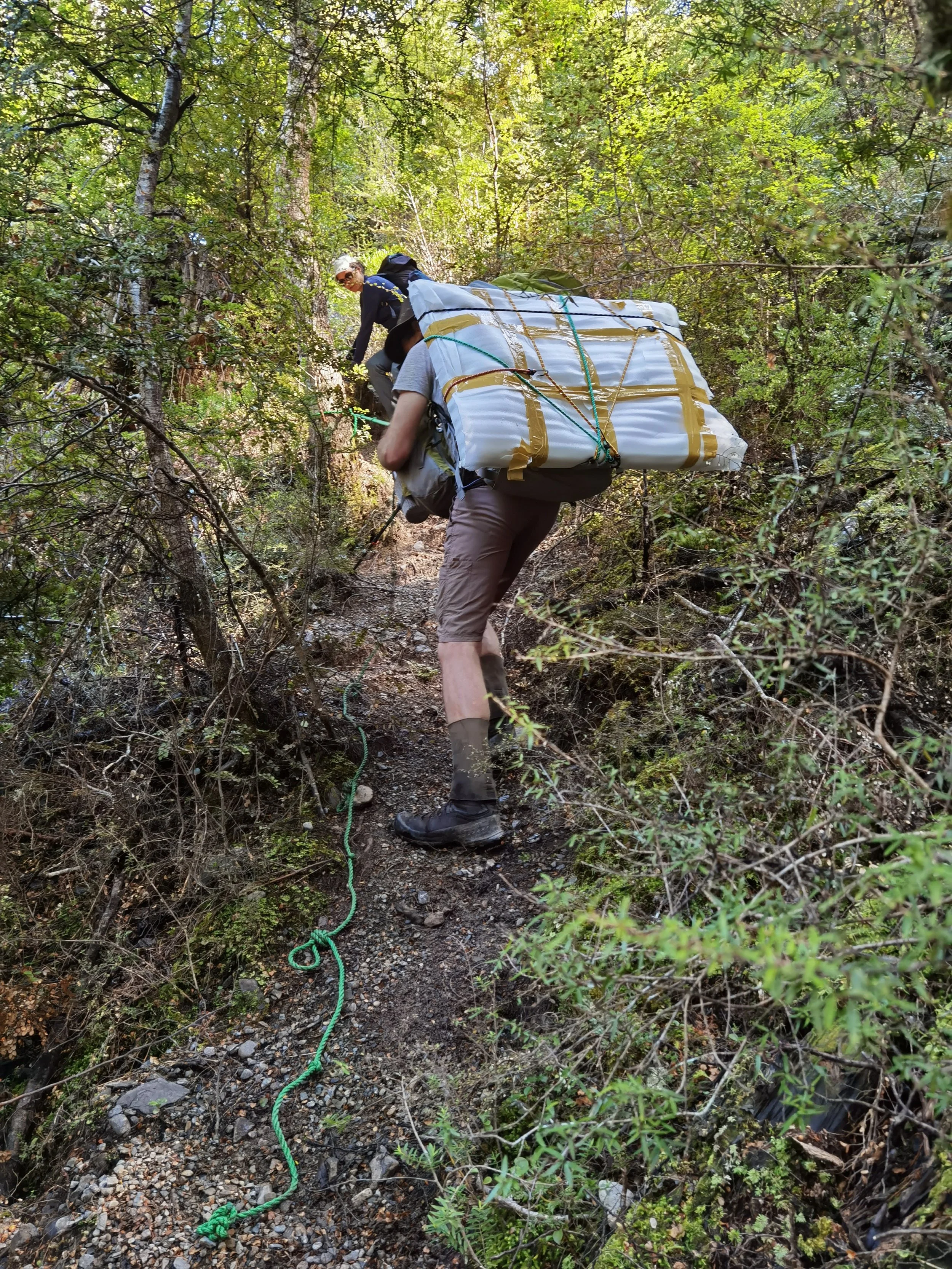 new window installed Sep 22 (2).jpg