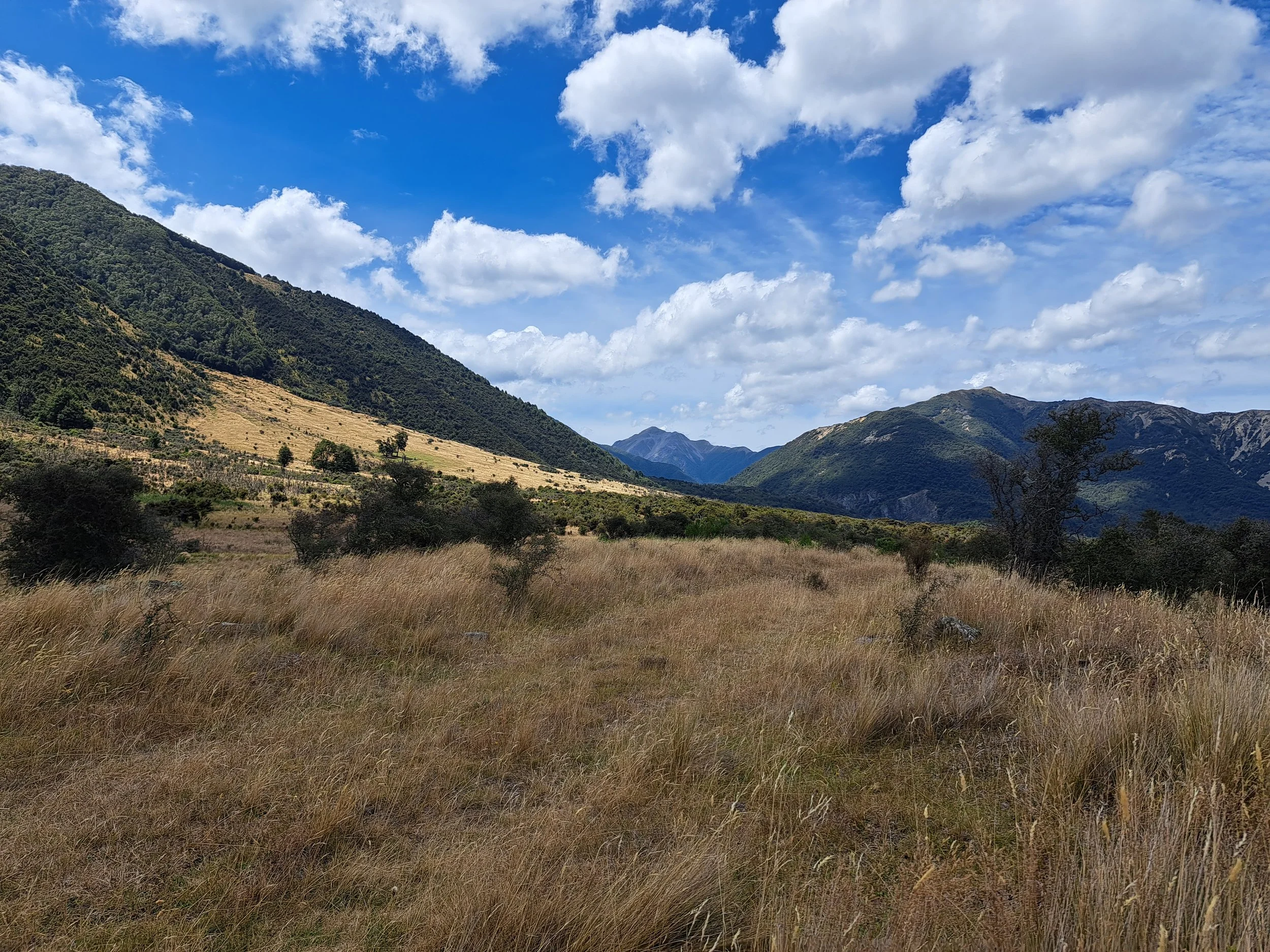 Carlyle landscape Jan 24.jpg