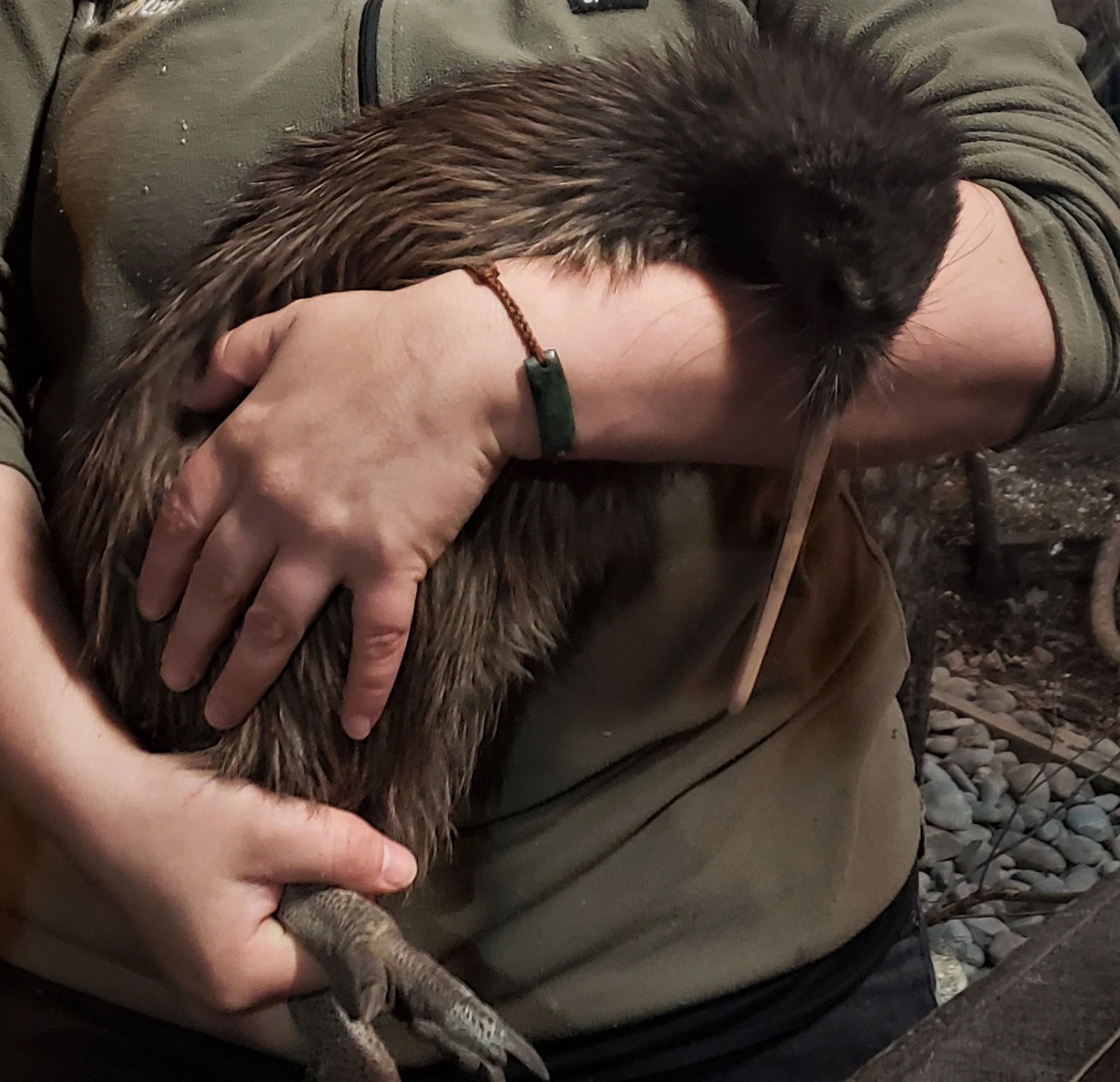 Rata .1 15.10.2020 weight.jpg